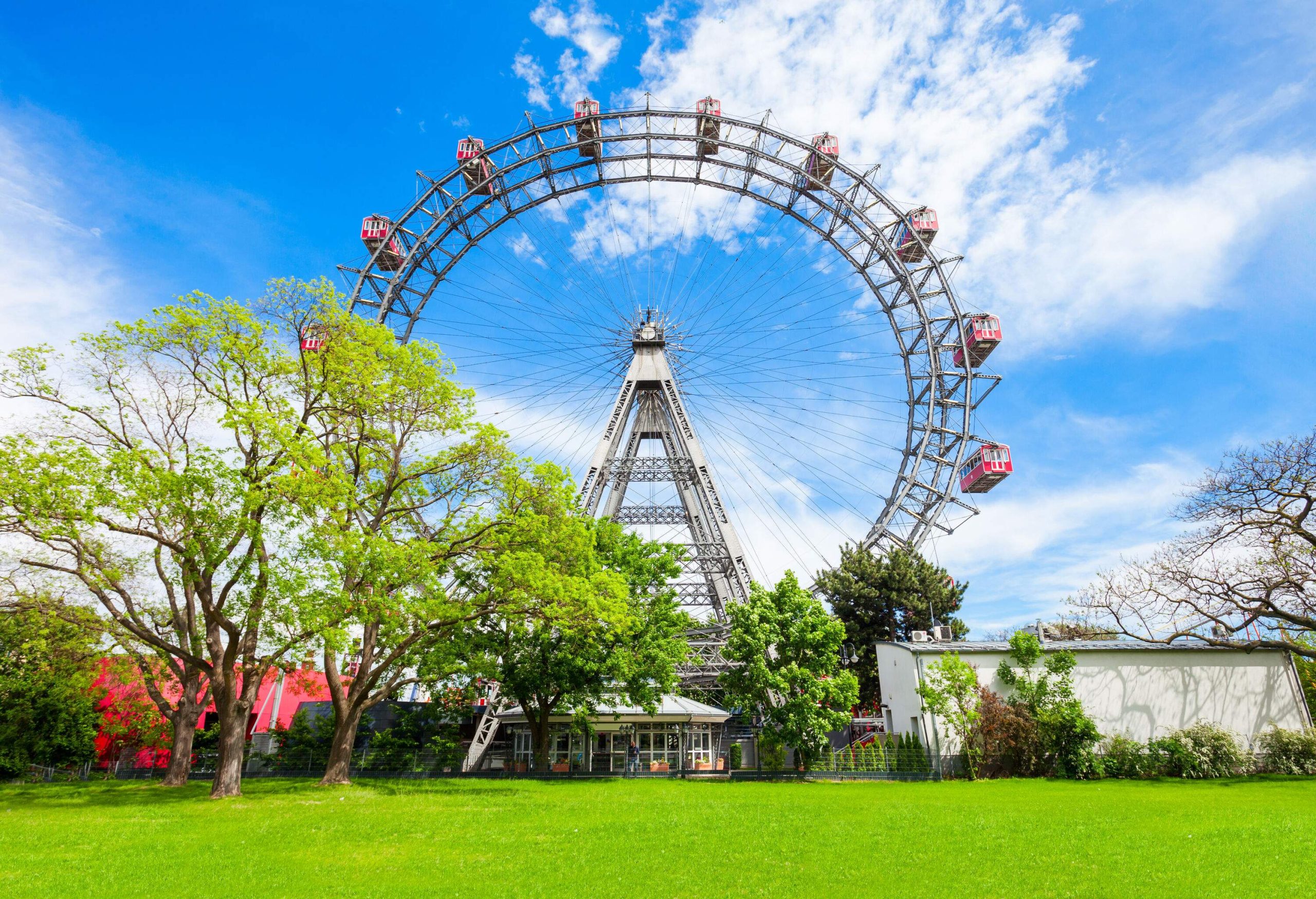 A huge Ferris wheel in a park soaring into the bright blue sky.