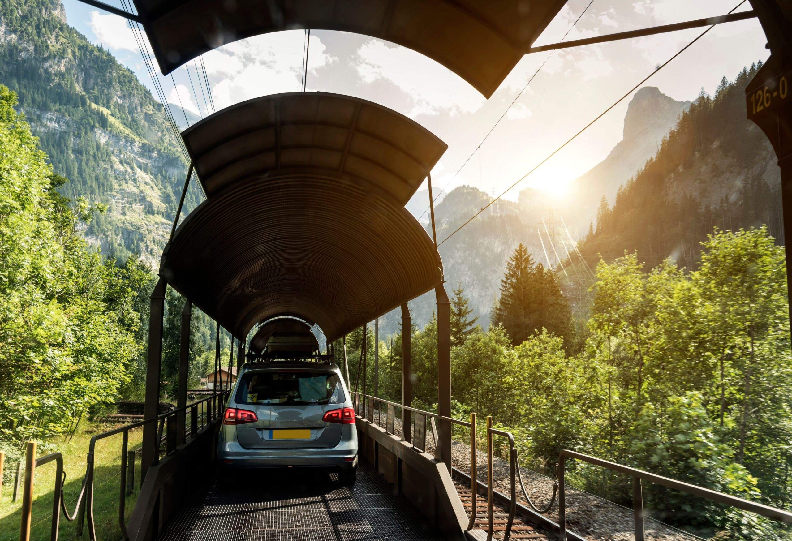 a car on a motorail in the middle of a forrest