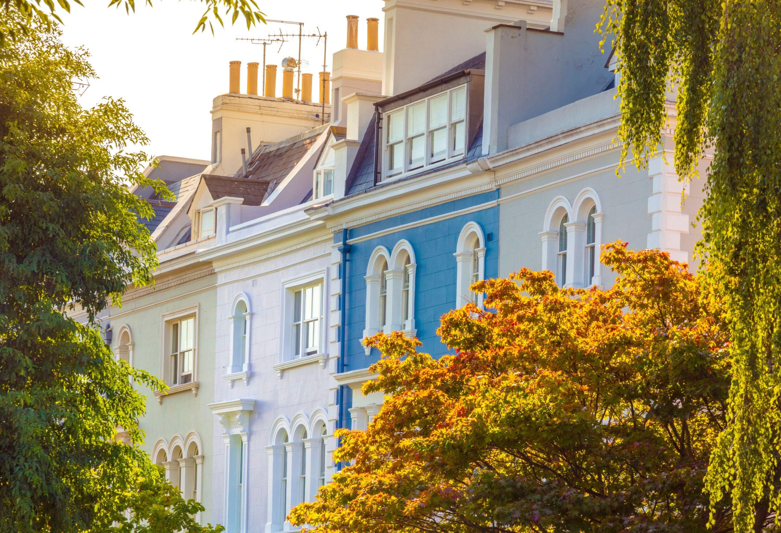 A row of sunlit townhouses painted in different bright colours along the trees.