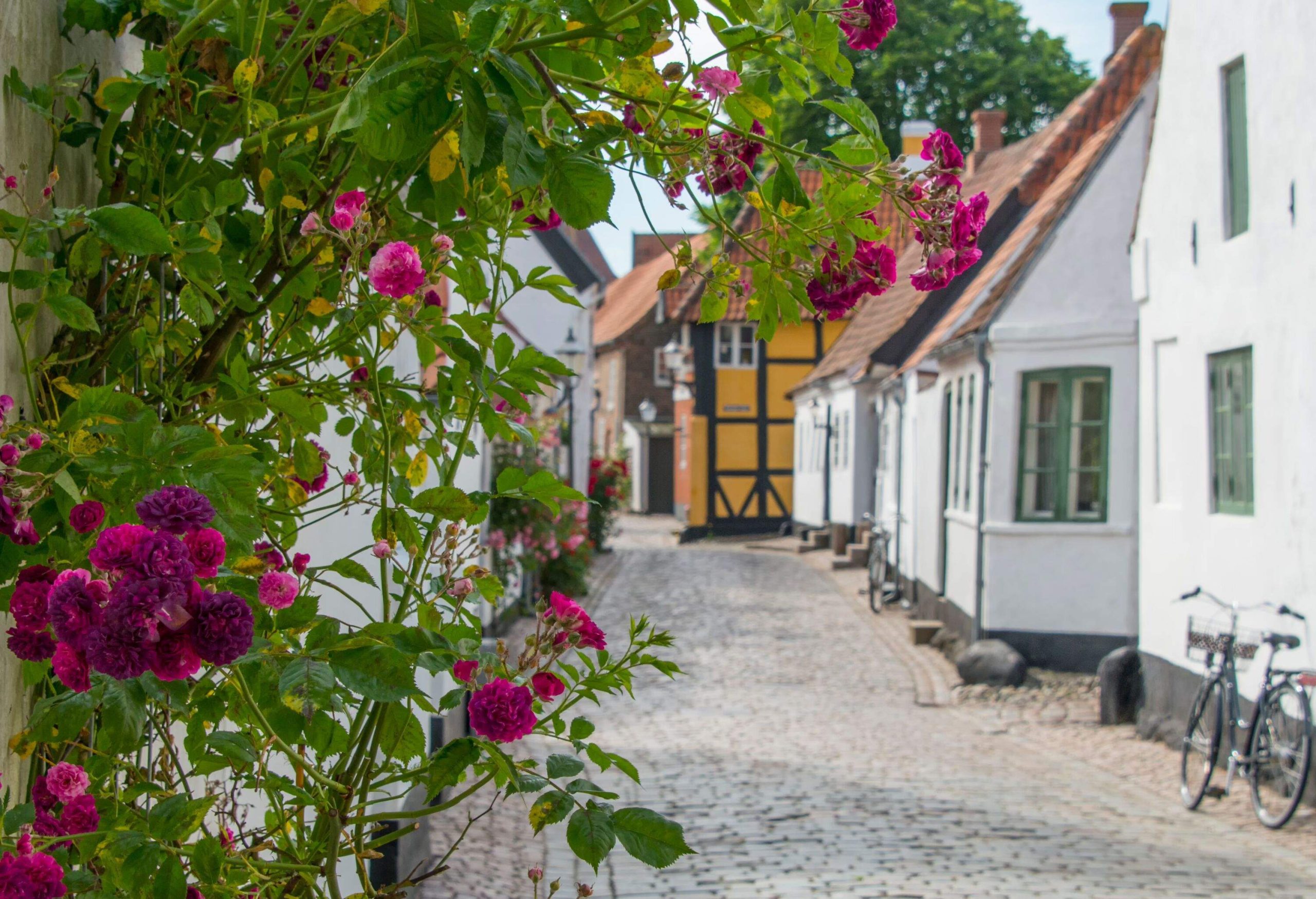 Ribe is Denmark's oldest town located in in south-west Jutland