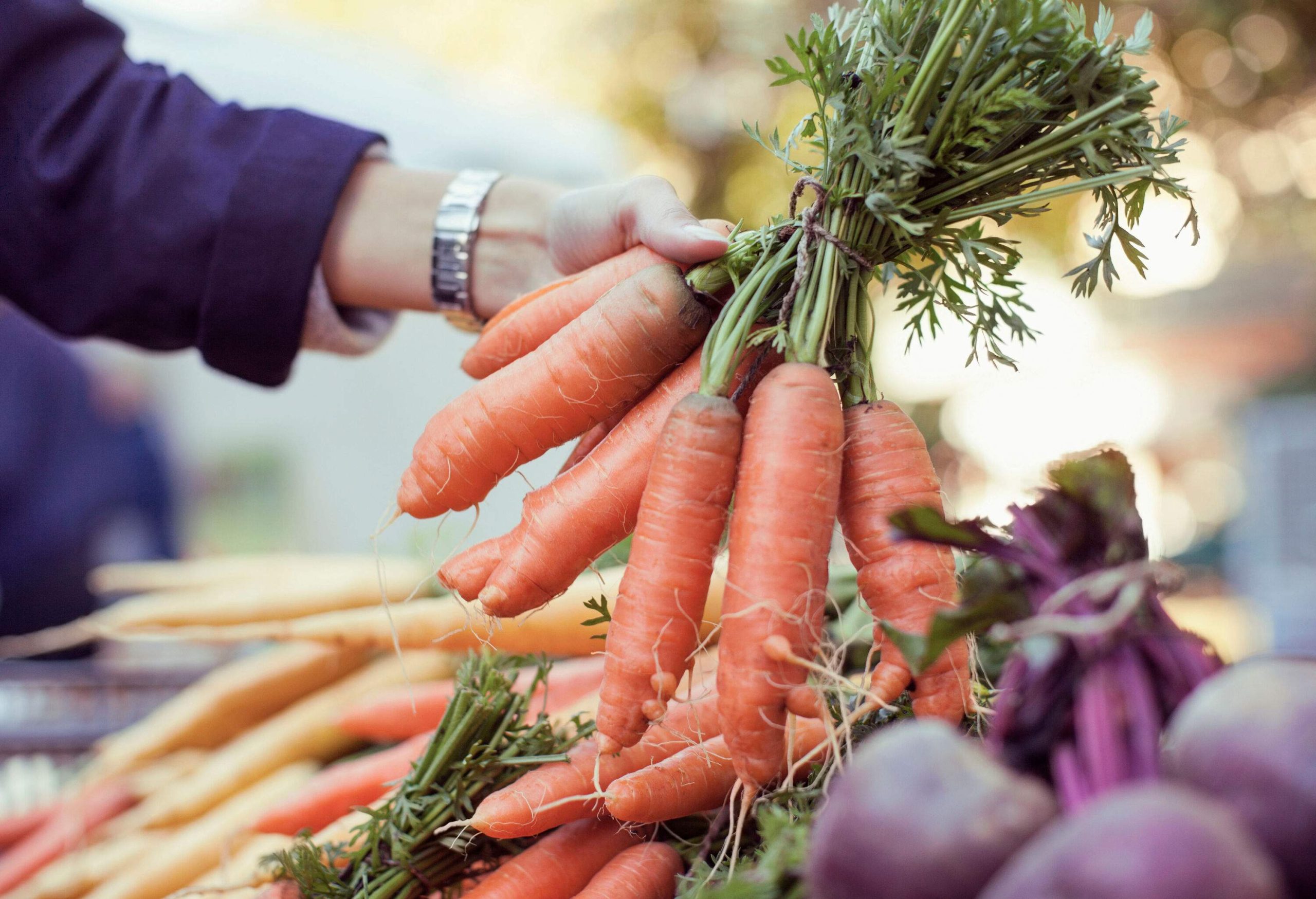 A hand picks a bundle of orange carrots.