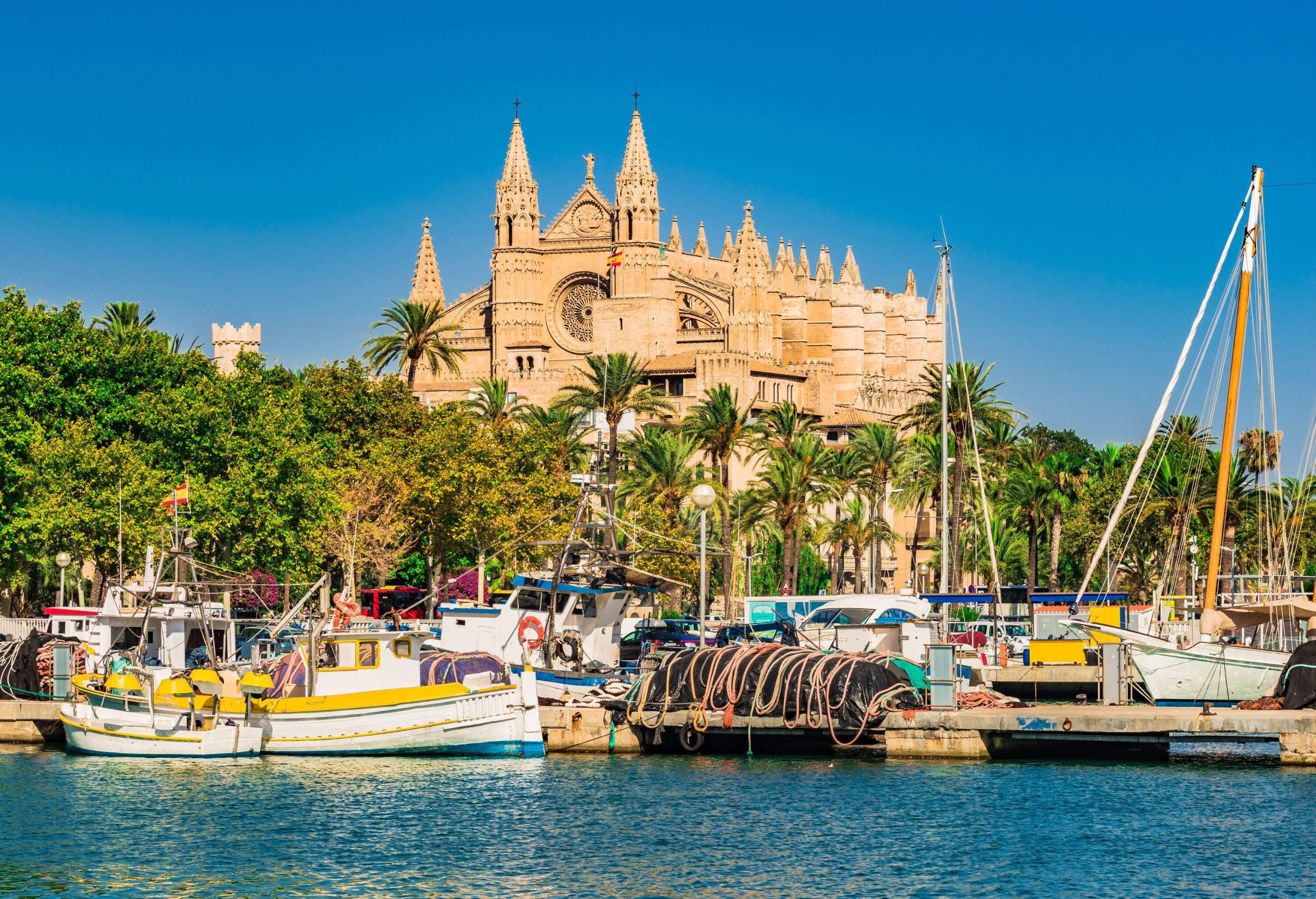 Fishing boats moored on the fishing boat with a view of a Gothic cathedral surrounded by tall green trees.