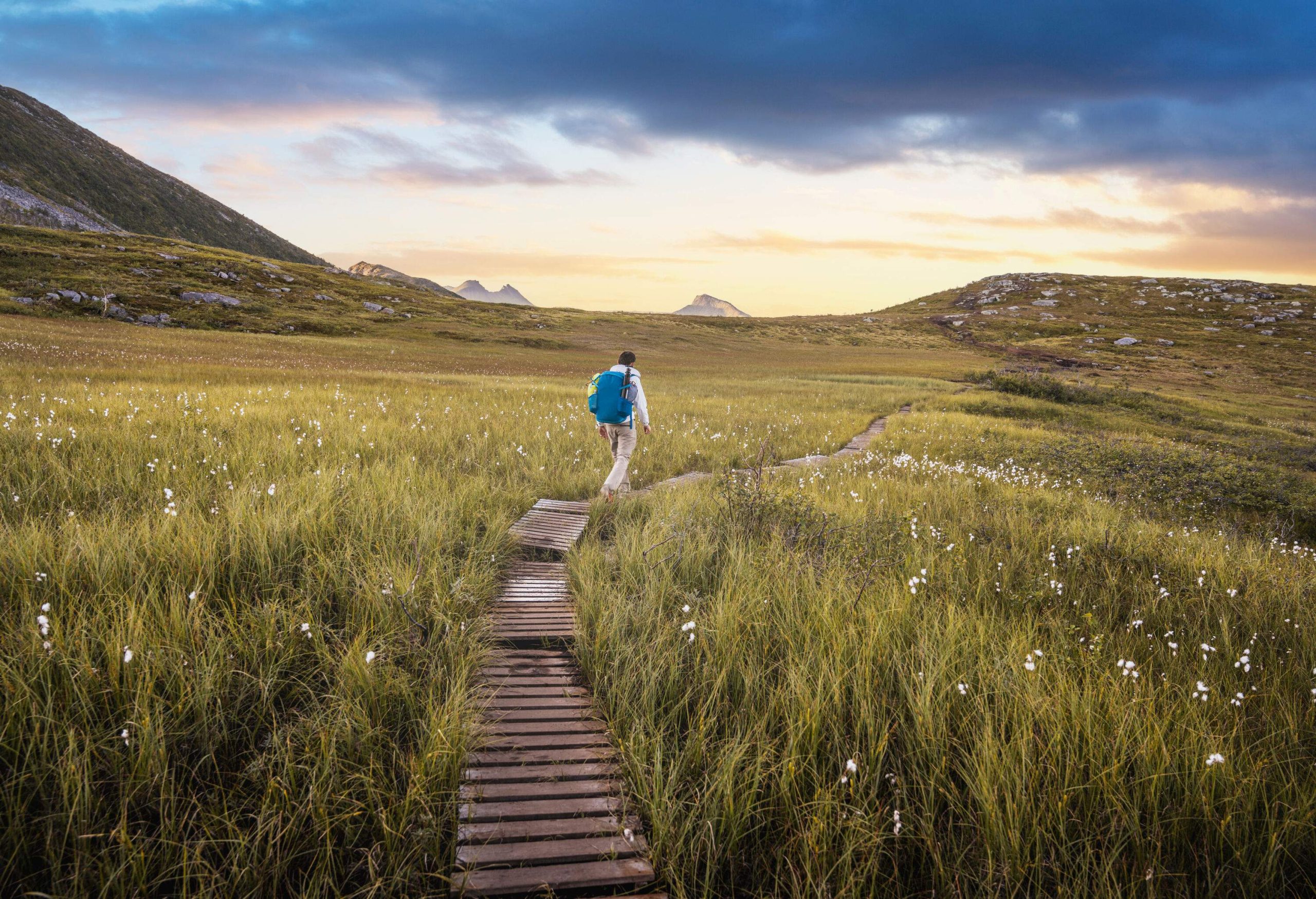 A hiker traverses a narrow wood path across a grass field with white flowers.