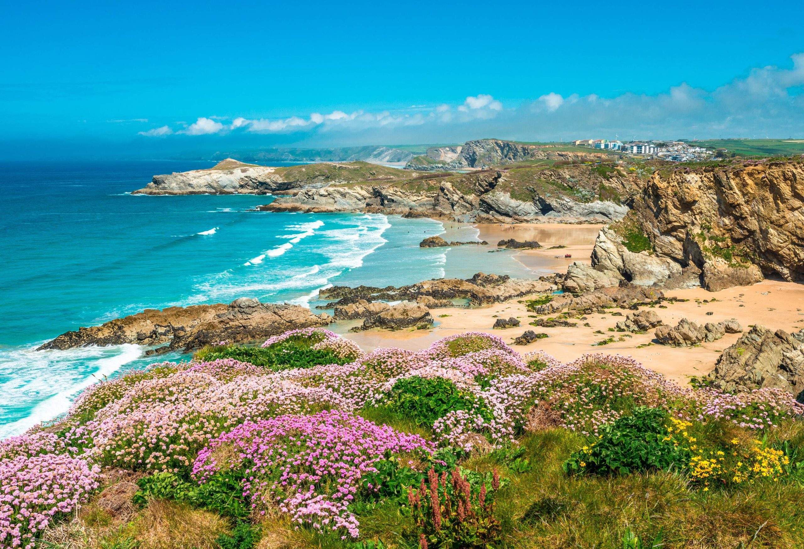 High angle view of a bay, with spring flowers in the foreground, waves and blue sky