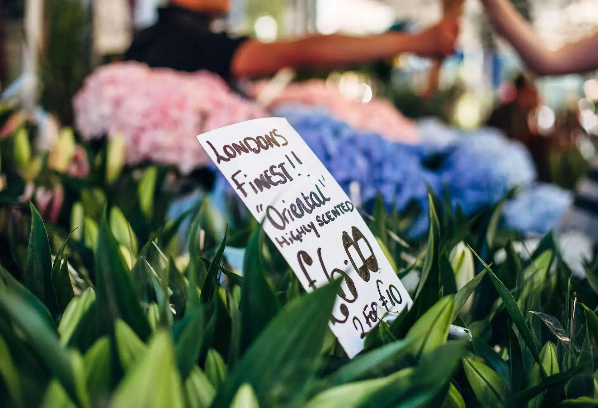 A large bunches of Oriental Lily with hand written price board at Columbia Road flower market in London, UK.