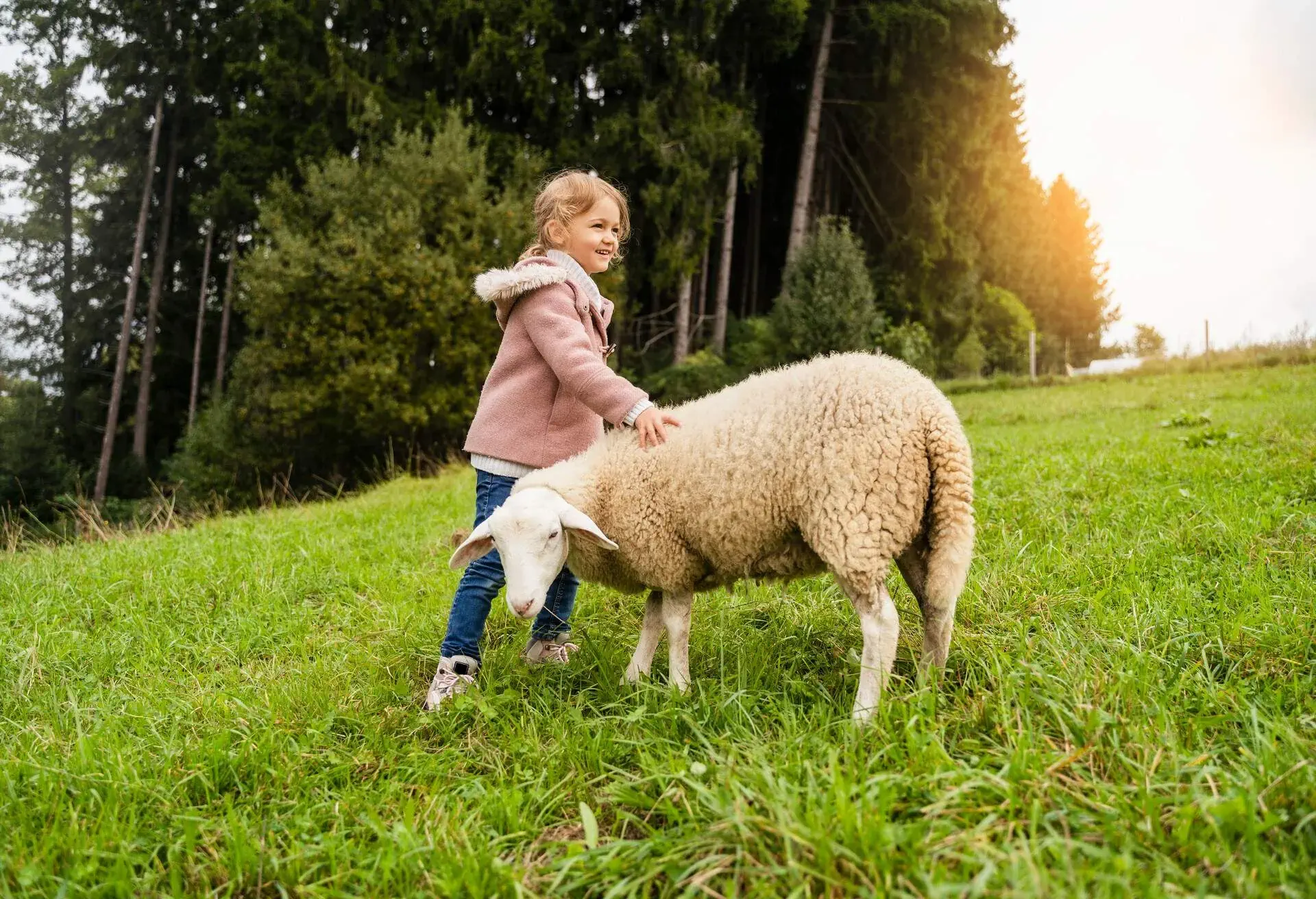 DEST_AUSTRIA_THEME_PEOPLE_KID_GIRL_SHEEP_FARM_GettyImages-1347482101