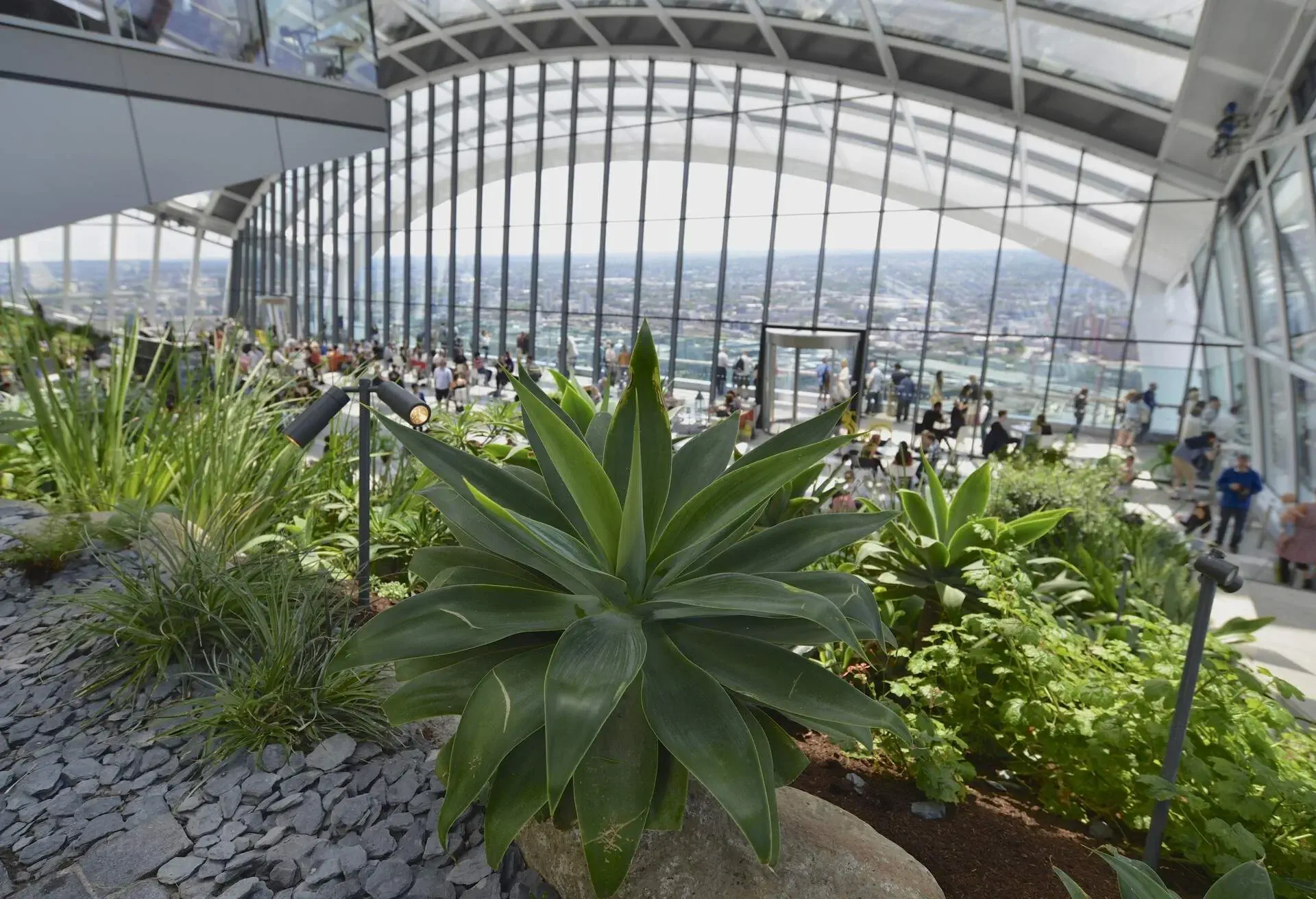 The Sky Garden is a free entrance public space at the top of 20 Fenchurch street (also known as the walkie-talkie building). The Sky Garden is London's highest garden and also includes two restaurants, a bar and a viewing platform. Free public entrance tickets are ordered online in advance.