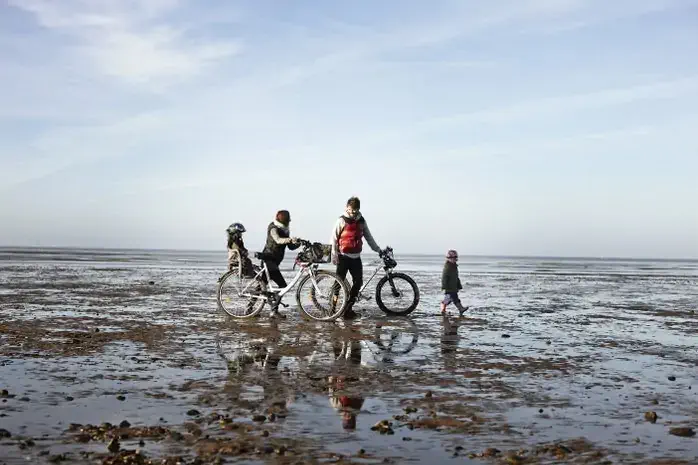 vadehavet road trip