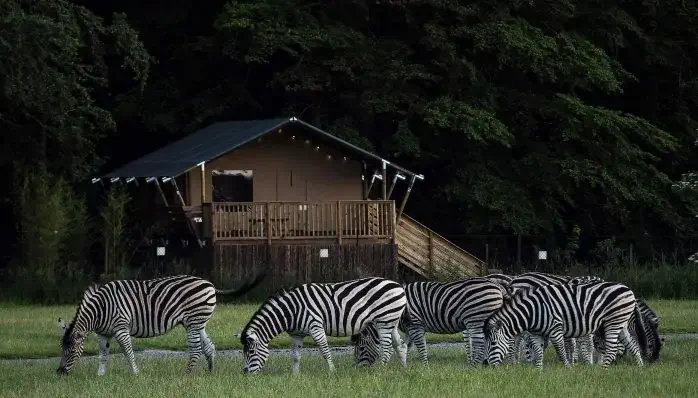knuthenborg safari