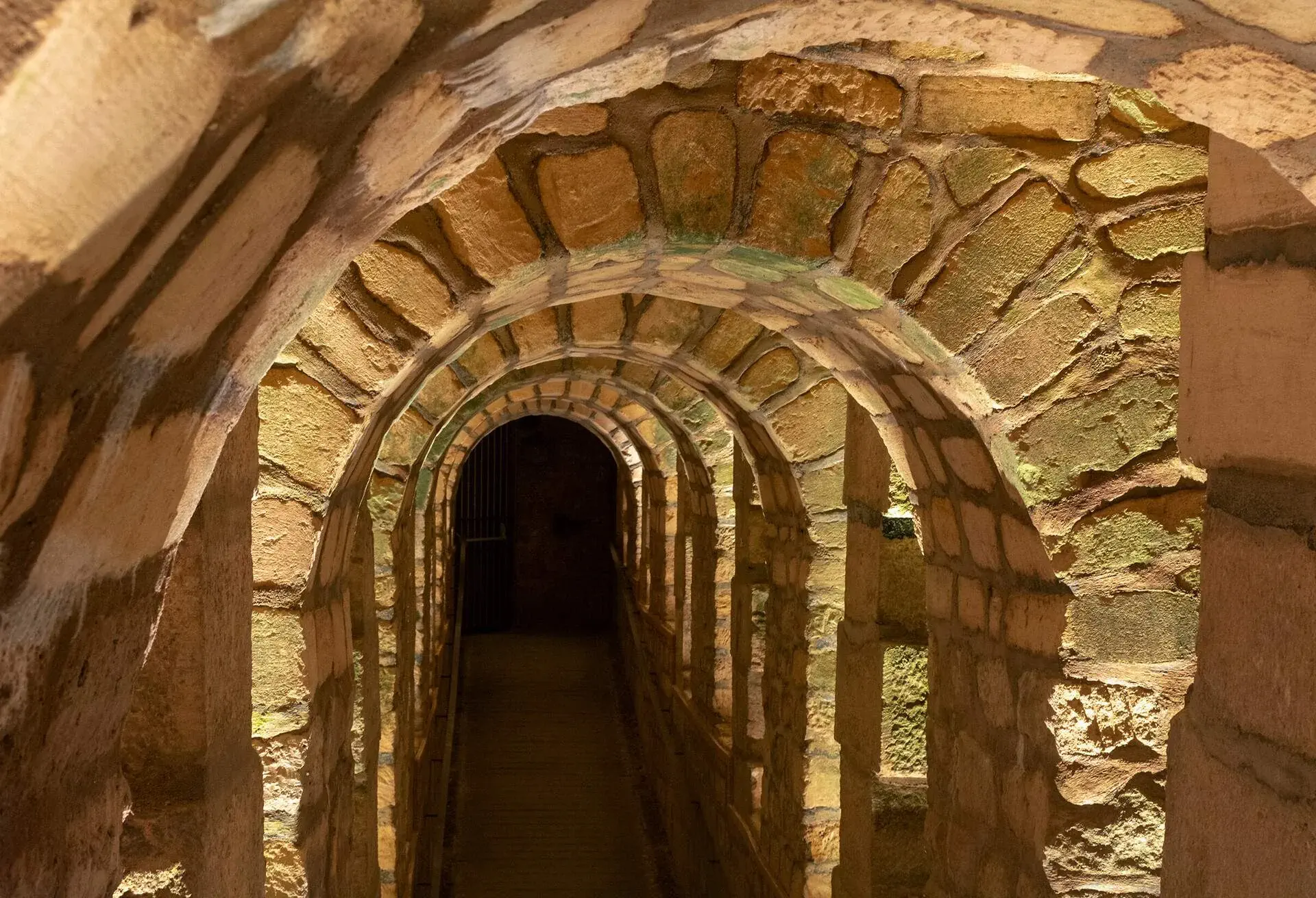 paris catacombs