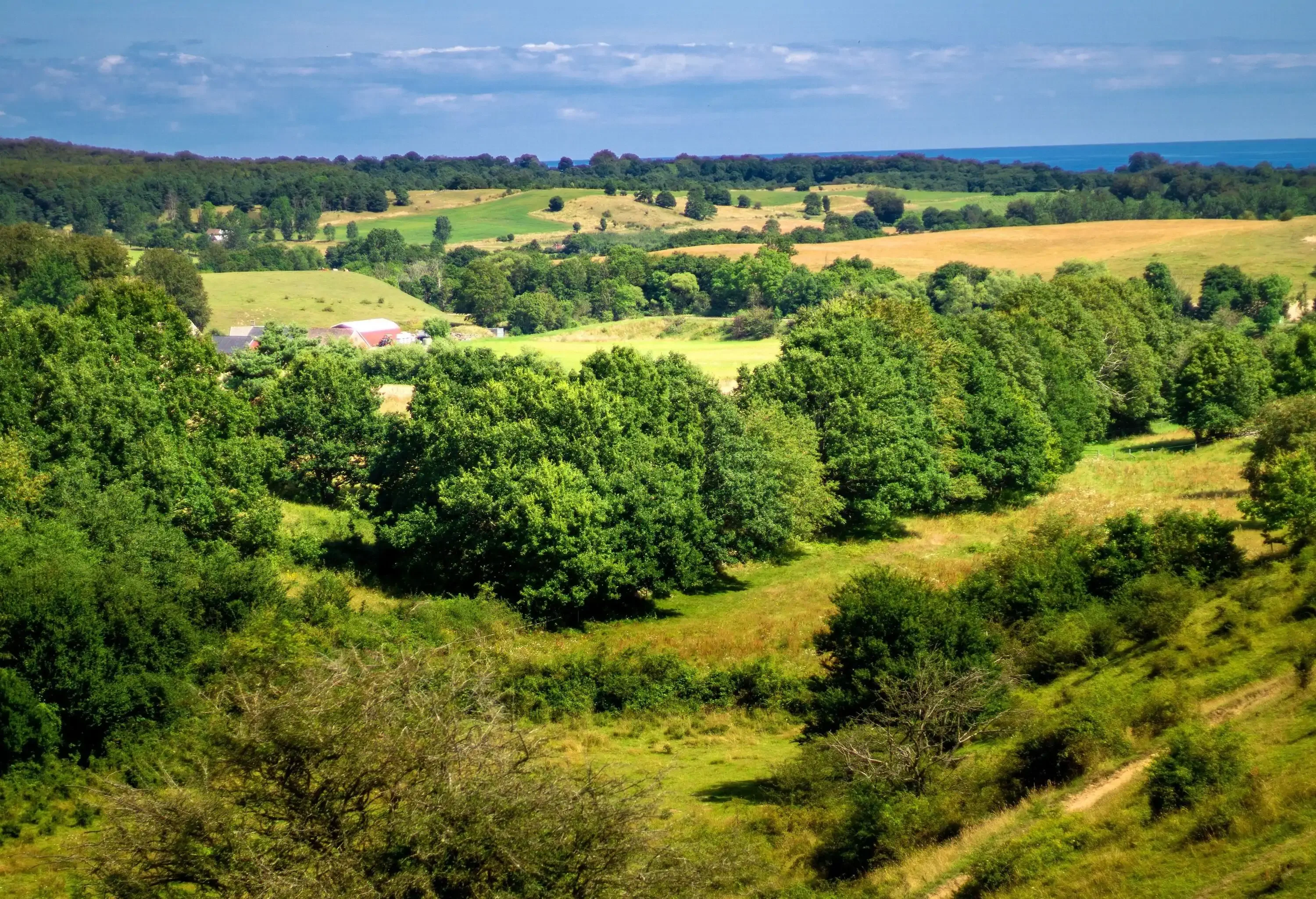 Rolling hills covered in grass and lush trees.