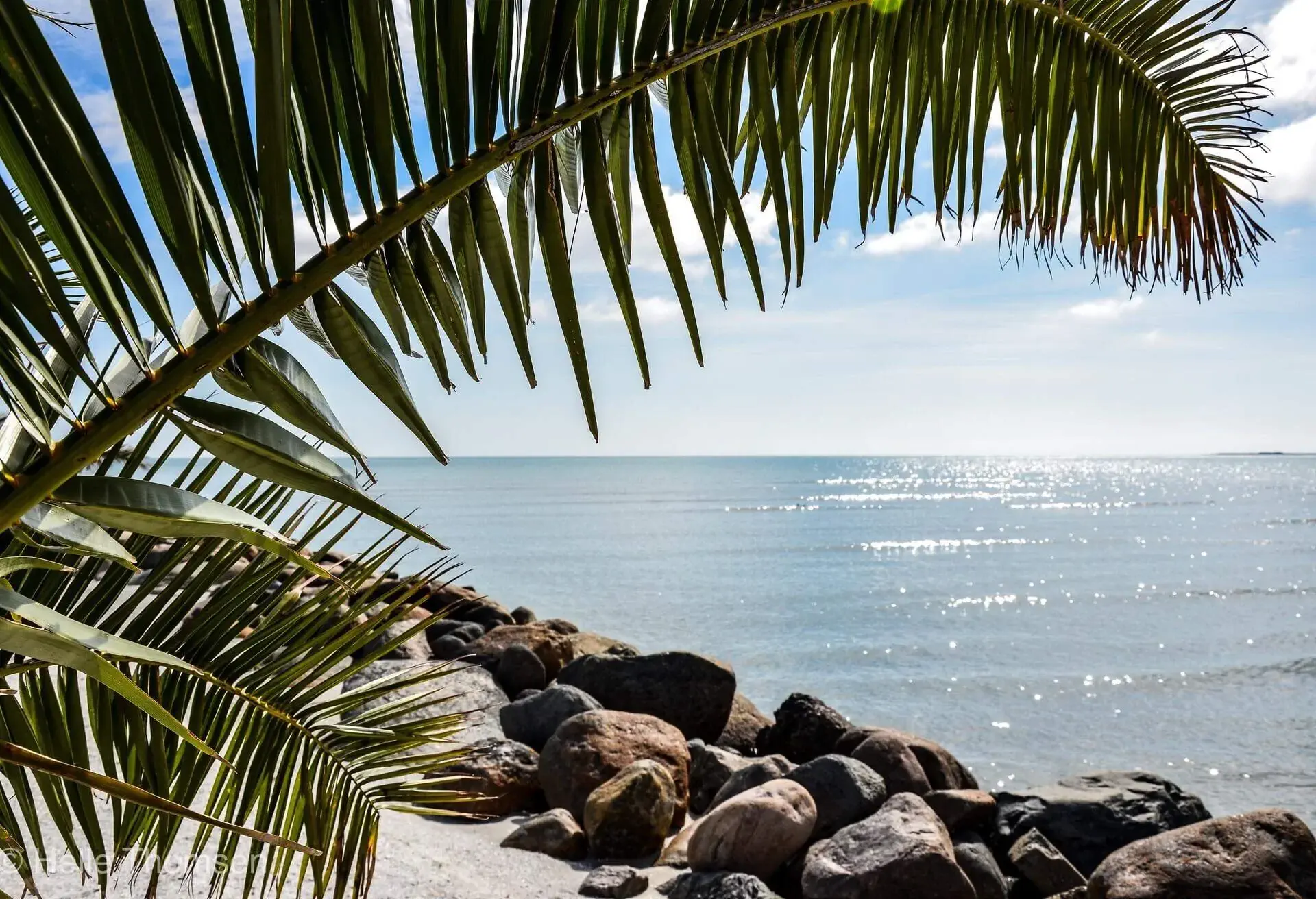 danmark frederikshavn palmestrand