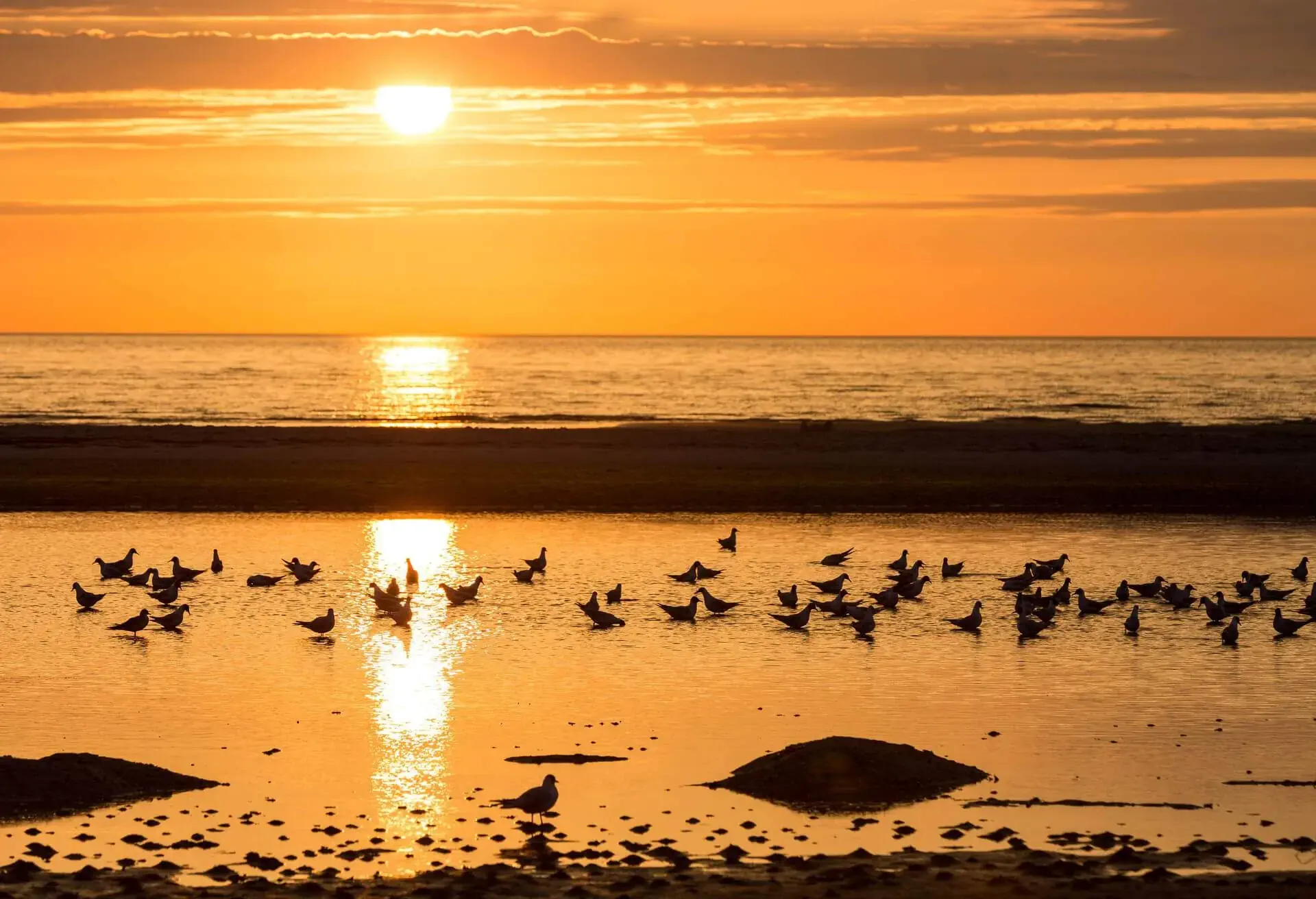 danmark oester hurup strand