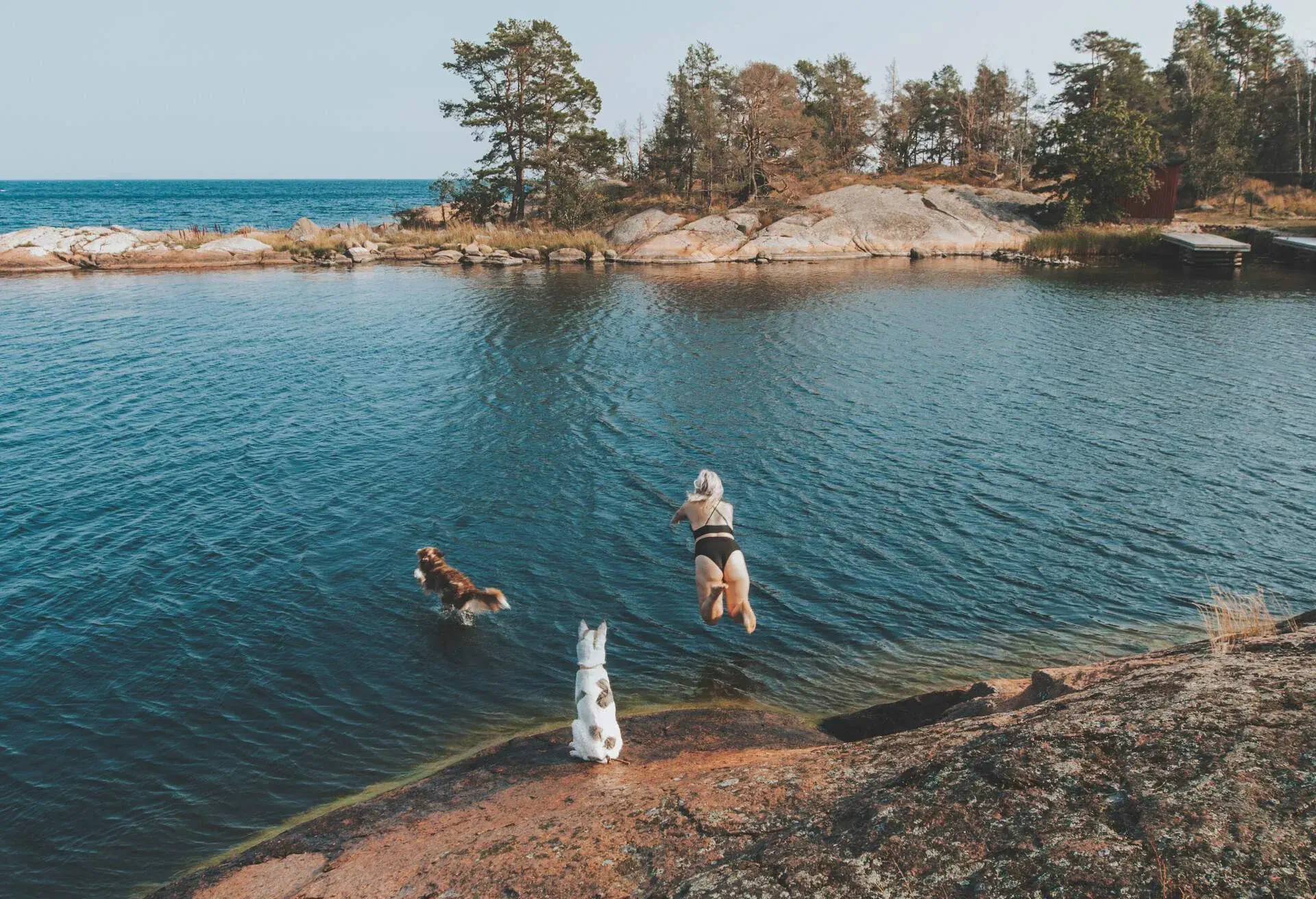 THEME_PEOPLE_WOMAN_DOGS_JUMPING_SEA_SWIMMING_GettyImages-1271532291