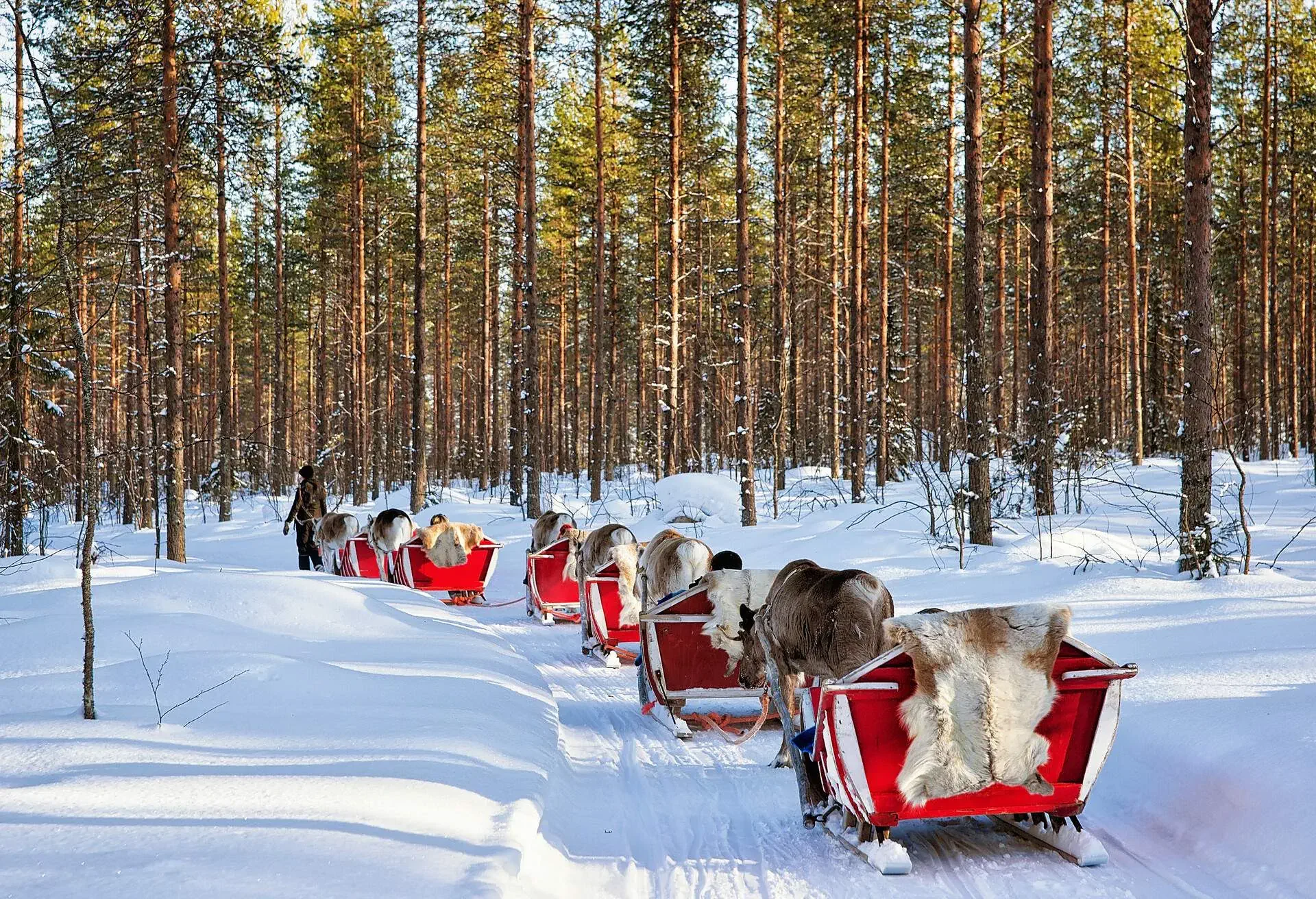 dest_finland_rovaniemi_lapland_shutterstock_675542023-jpg_universal_within-usage-period_30647