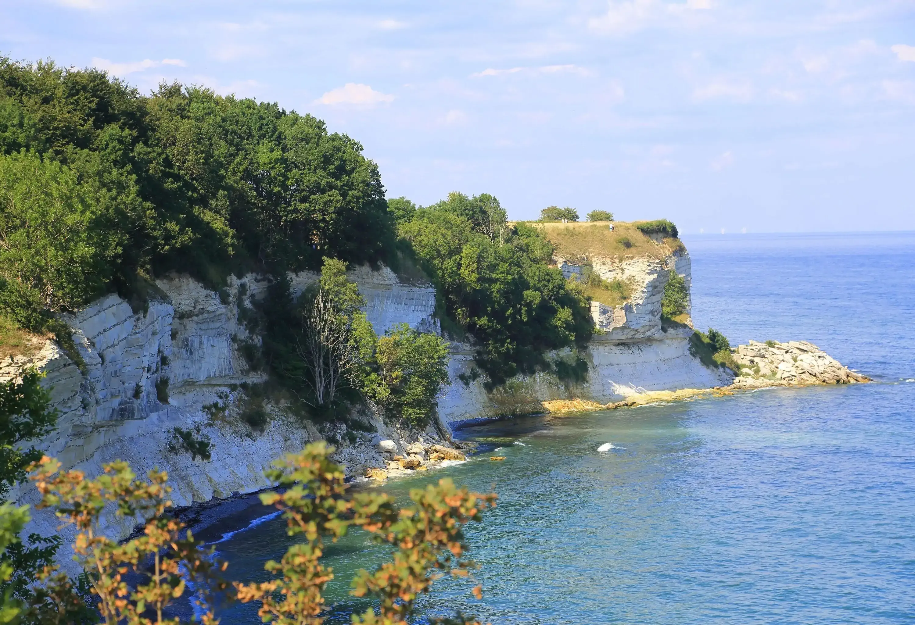 White chalk cliffs topped with lush vegetation surrounding the seashore.