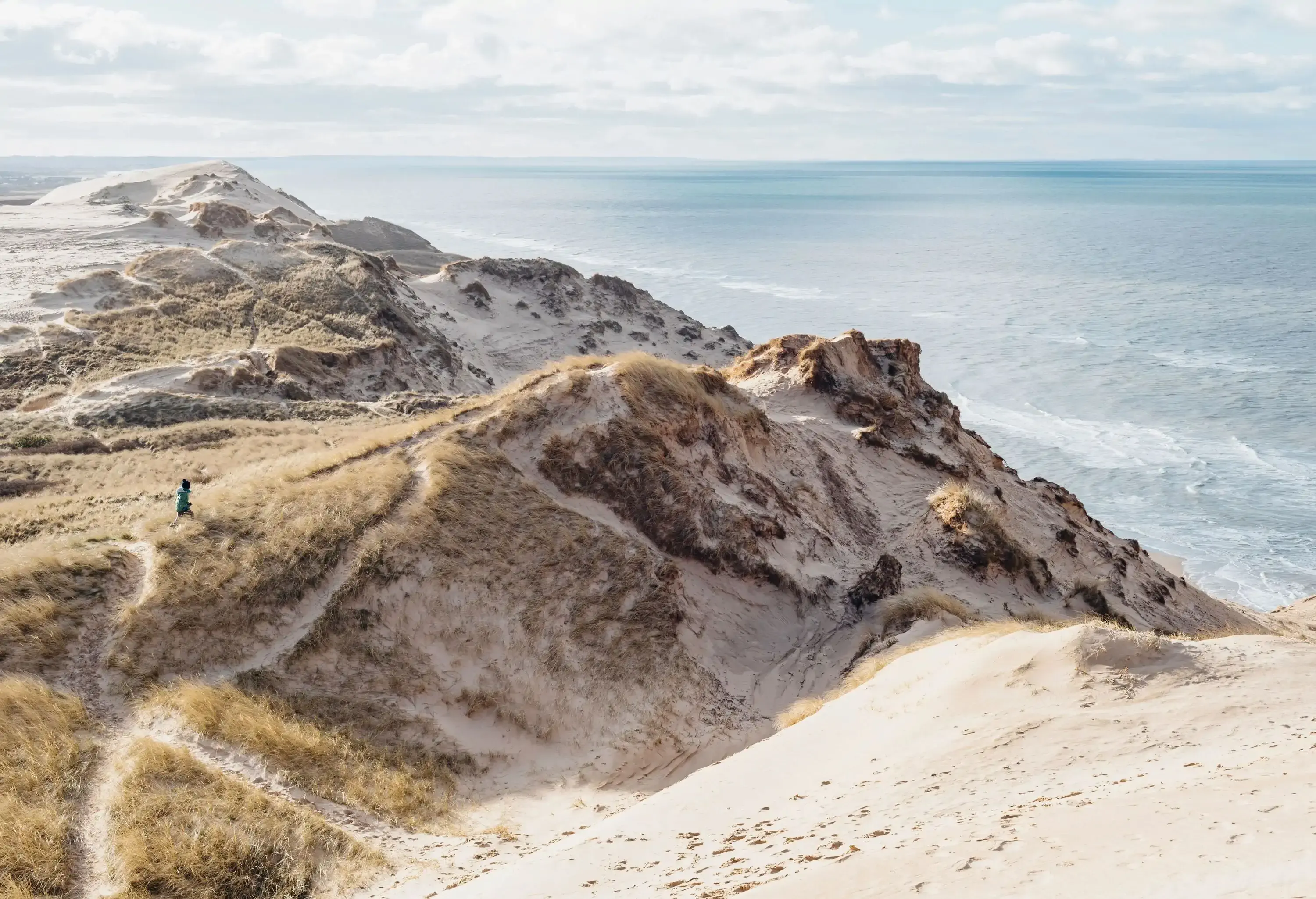 A person running on a grassy beach dune overlooking the ocean.