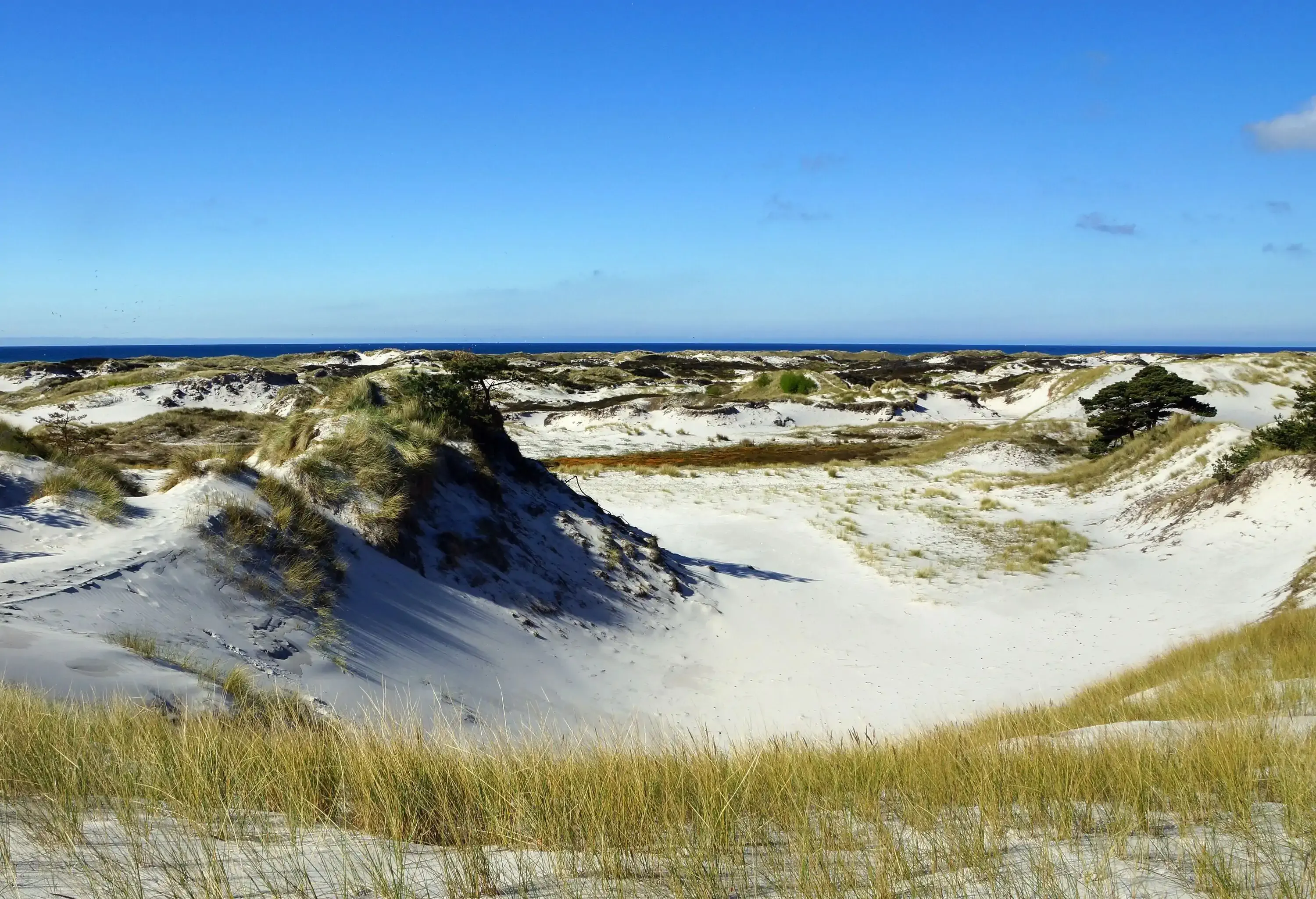 Beaches of white sand interspersed with patches of grass and jagged rocks.