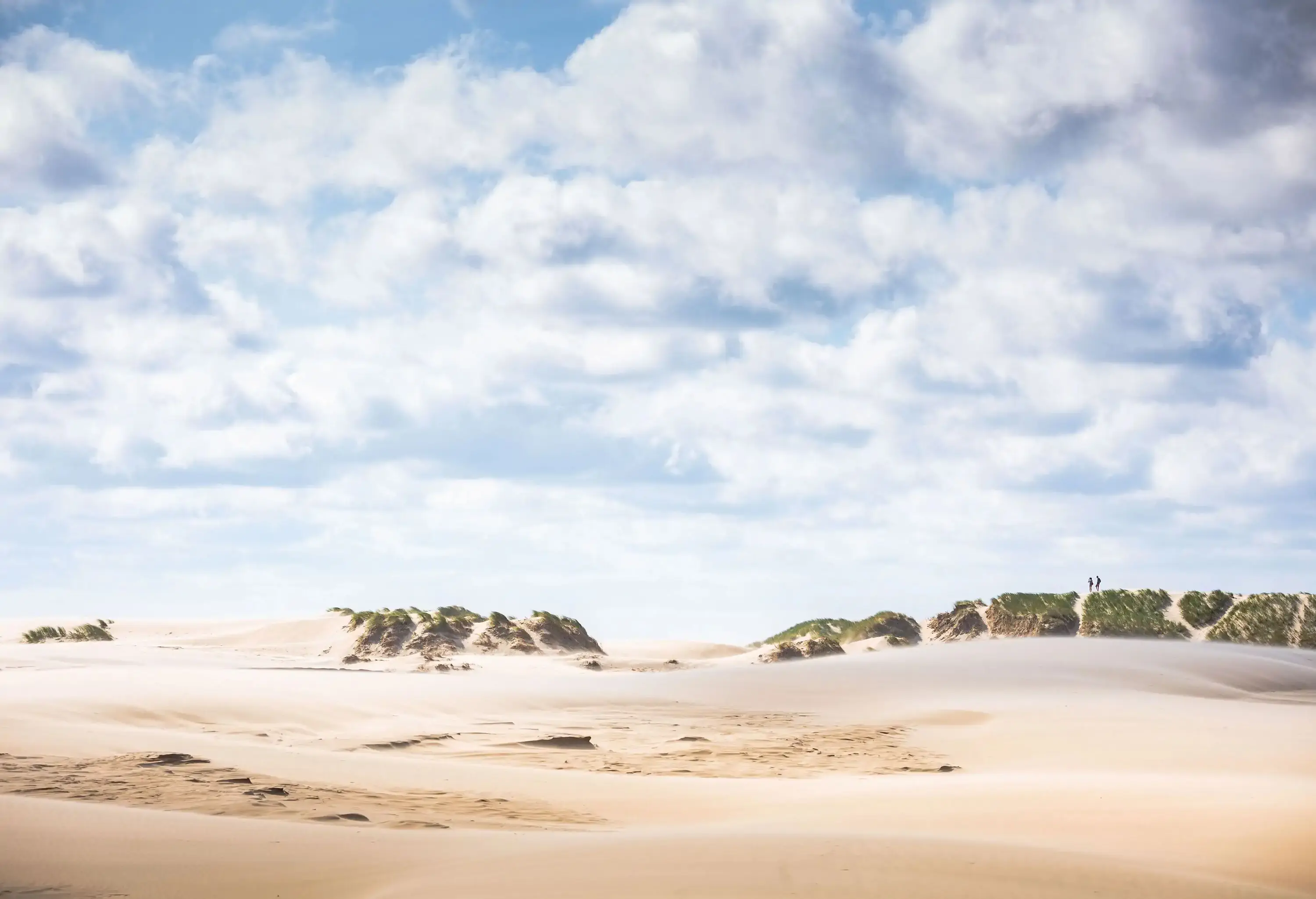 The migrating dune of Råbjerg Mile on a sunny day