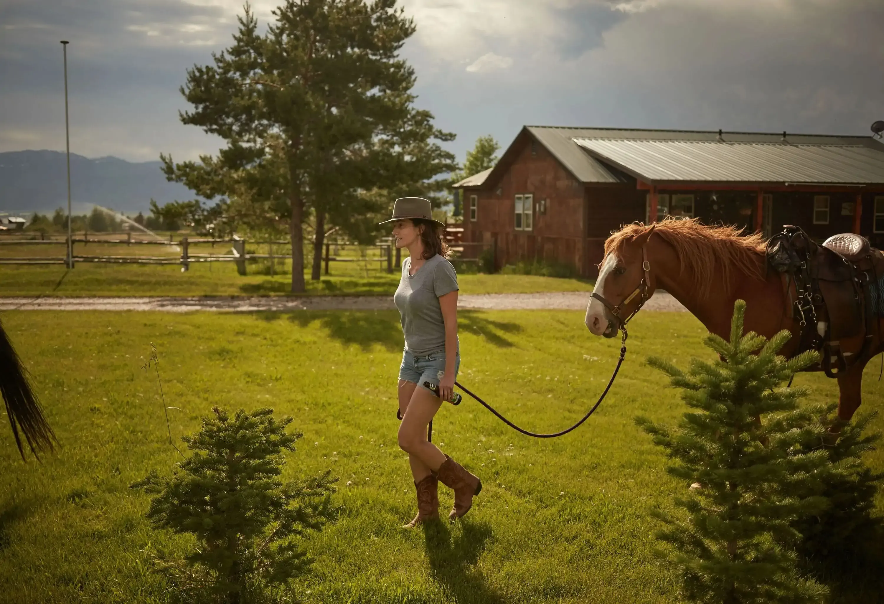 A young woman gracefully walks a horse across the lush green grass outside a ranch.