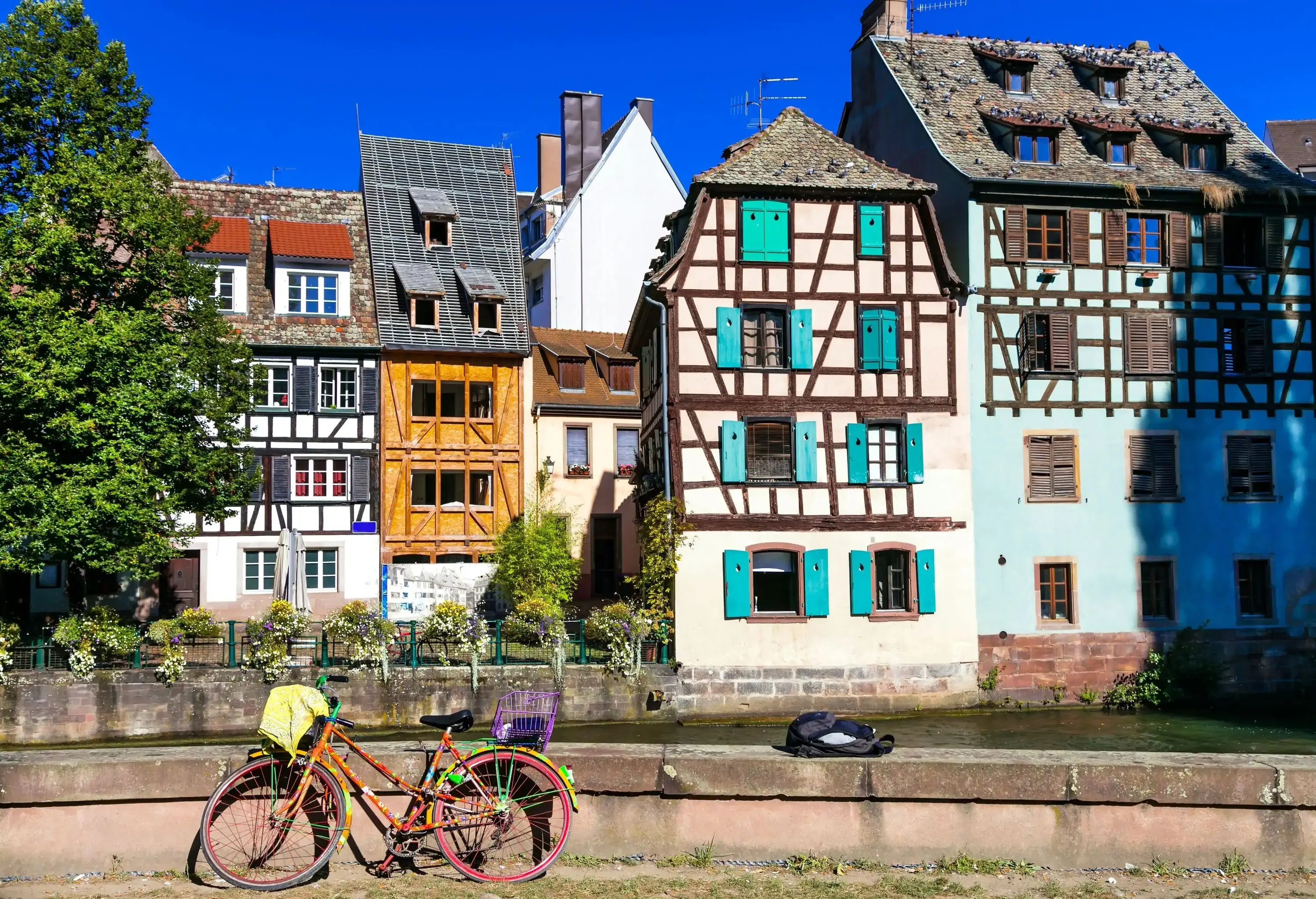 A bicycle parked along a canal, which is lined with timber-framed houses with rooftops swarmed by birds.
