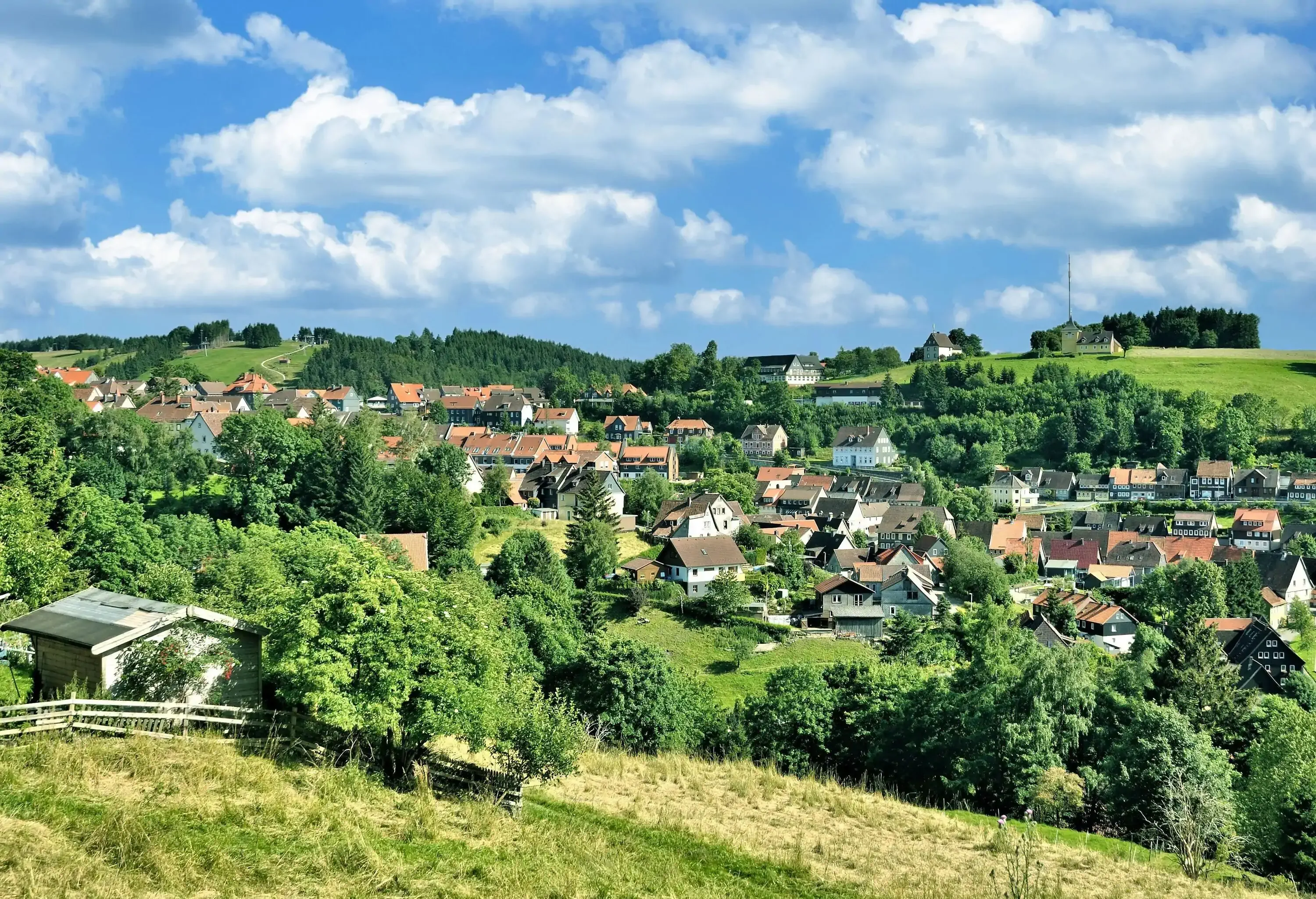 A village surrounded by lush vegetation as seen from a grassy slope.