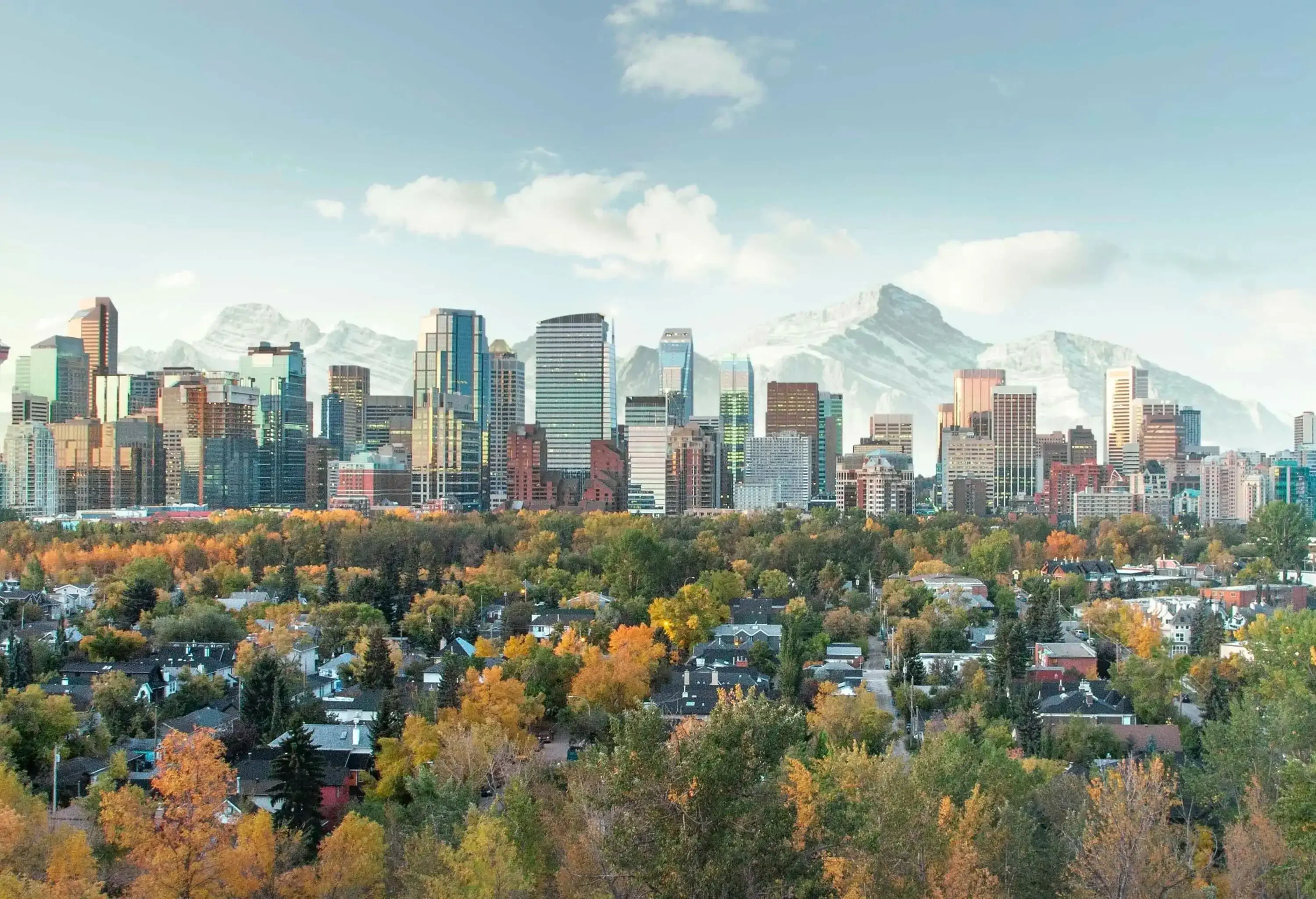 A residential neighbourhood amongst fall foliage against the backdrop of a city skyline.