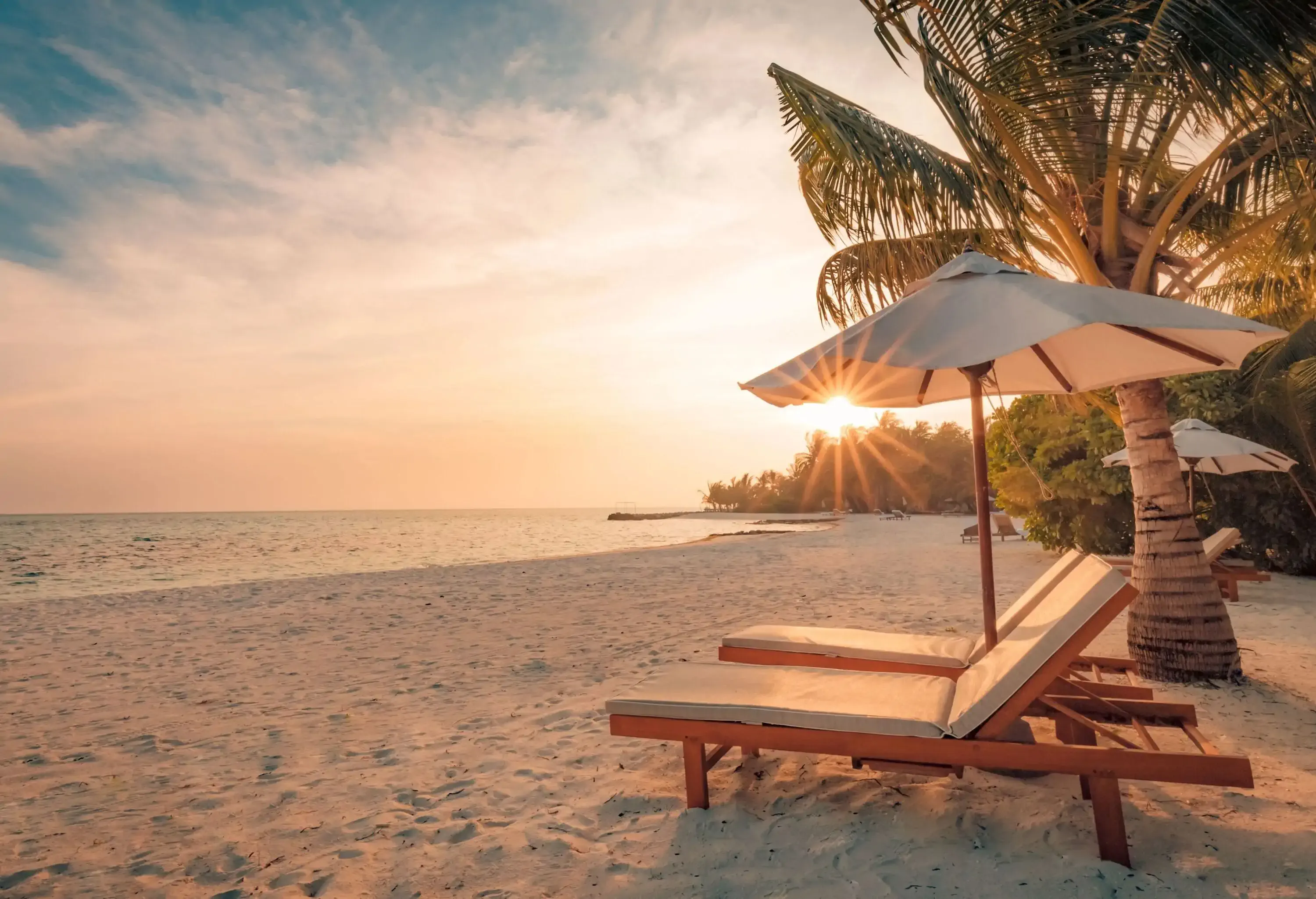 Sunbeds and umbrellas on the beach with bright rays of the sun shining through the trees.
