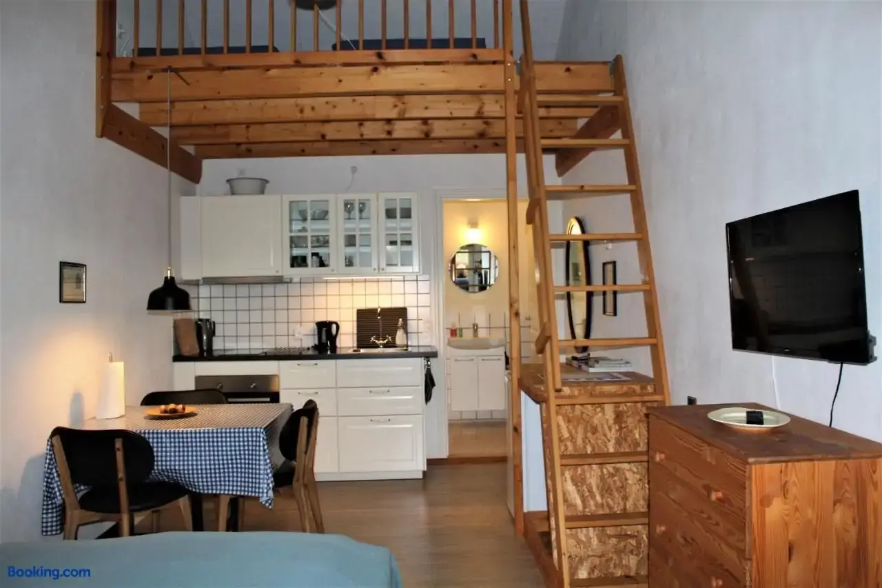 Unique hotel room with kitchen and mezzanine bed in rustic style