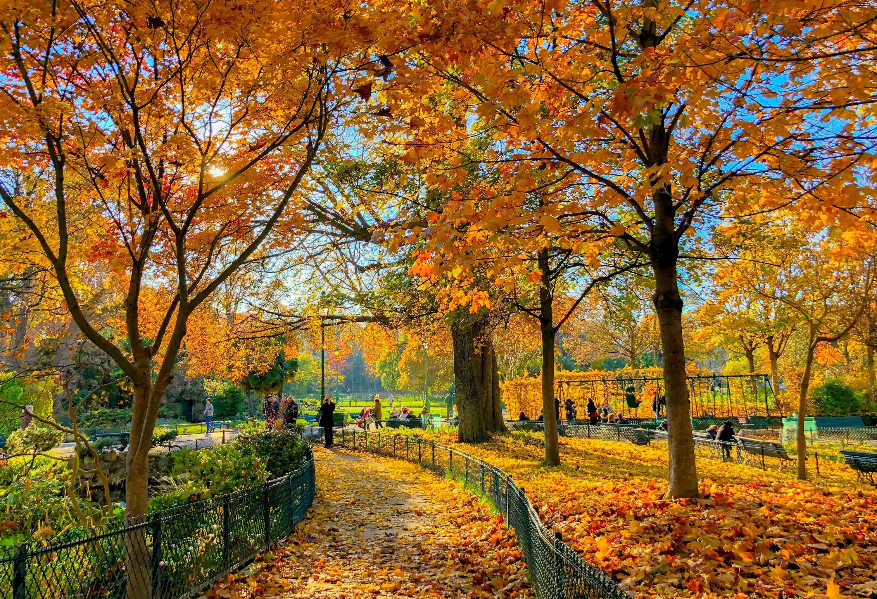 People enjoy autumn scenery at a park as golden fallen leaves cover the park grounds.
