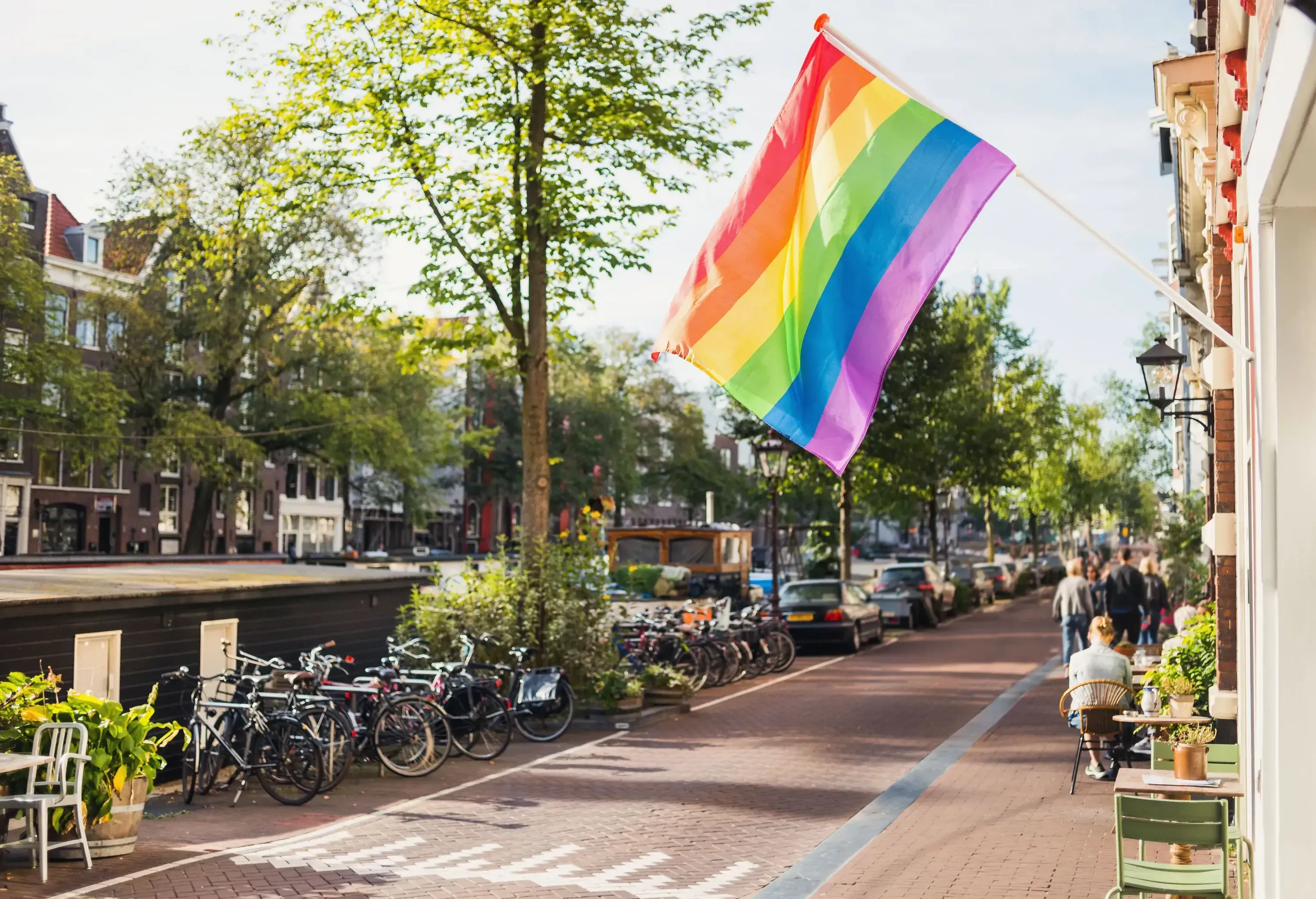 A cobbled street lined with parked bicycles, cars and tall green trees with a colourful flag hanging outside a building.