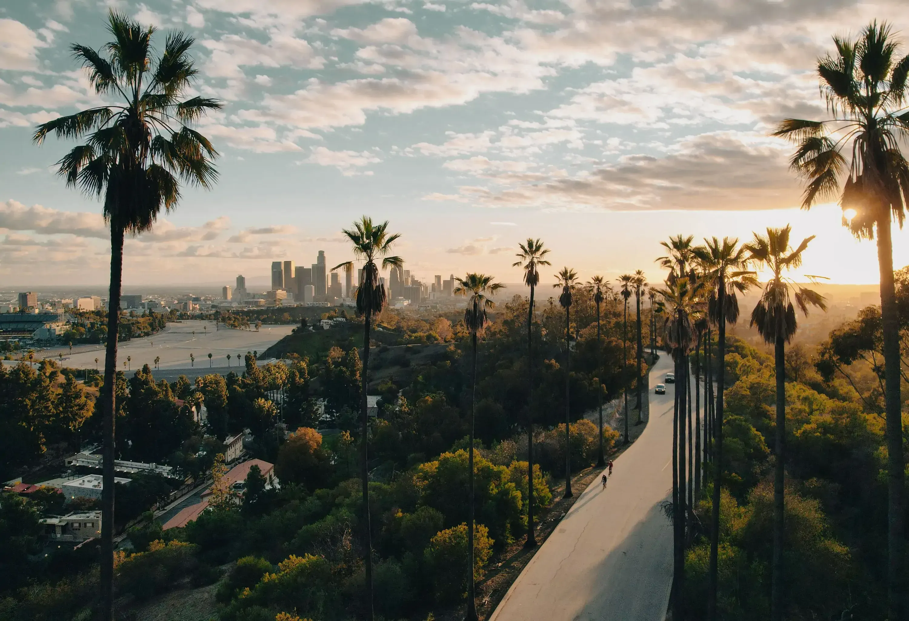 A cement road between tall palm trees and lush green plants with the peeking sun behind the clouds.
