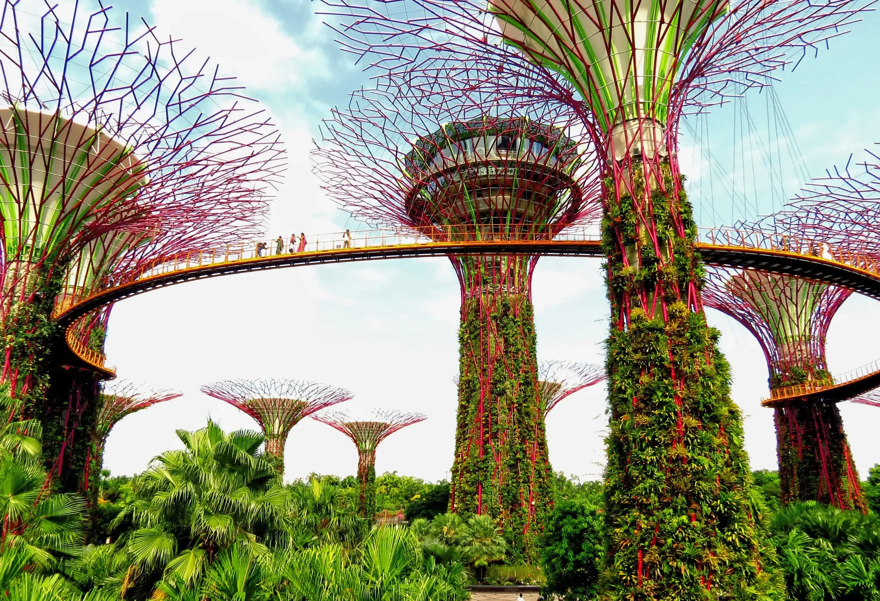 A grove of massive tree-like structures covered with lush plants with tourists strolling on its connected bridge.