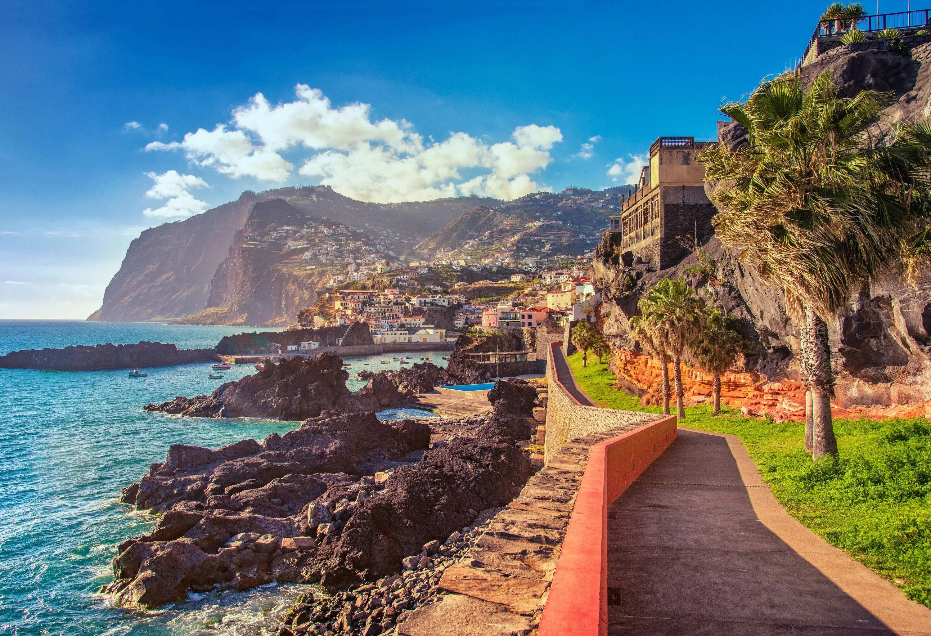 A narrow walkway bordered with trees that runs along the ocean's rough coastline.