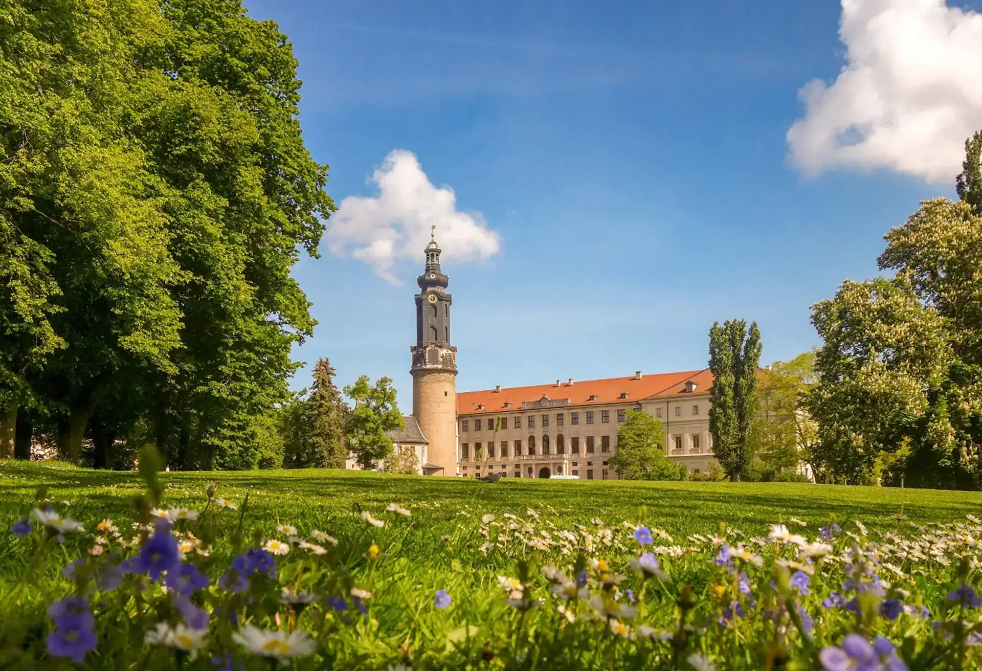 Grøn park med blomster og et historisk bygningstårn under en solrig himmel.