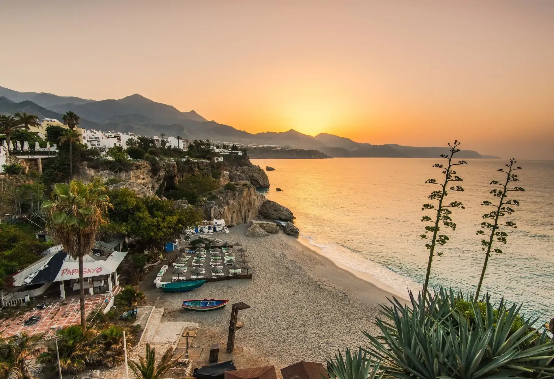 A panoramic view of a beach at sunset, with agave plants in the foreground, coastal cliffs, and the sun setting behind mountains over a calm sea.