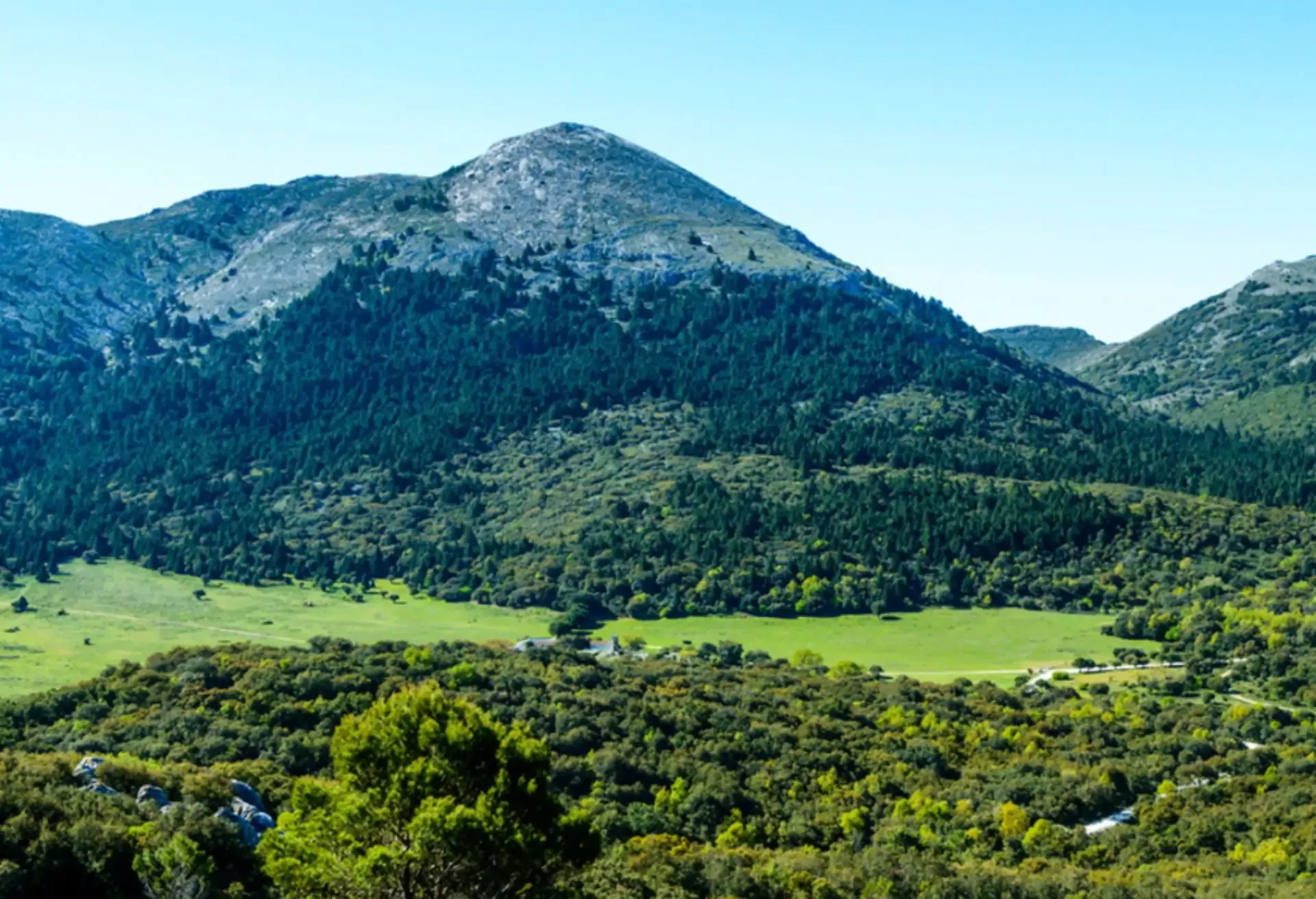 A lush green valley and dense forest leading up to a prominent rocky mountain peak under a clear blue sky.