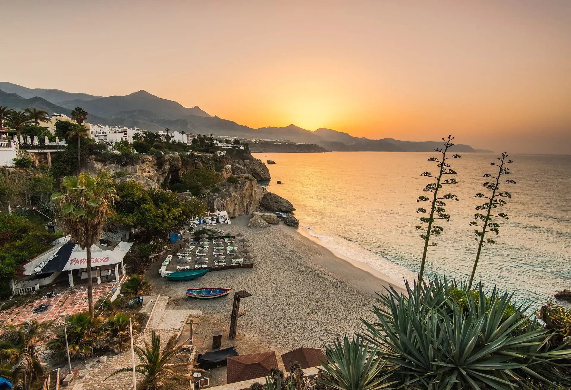 A panoramic view of a beach at sunset, with agave plants in the foreground, coastal cliffs, and the sun setting behind mountains over a calm sea.