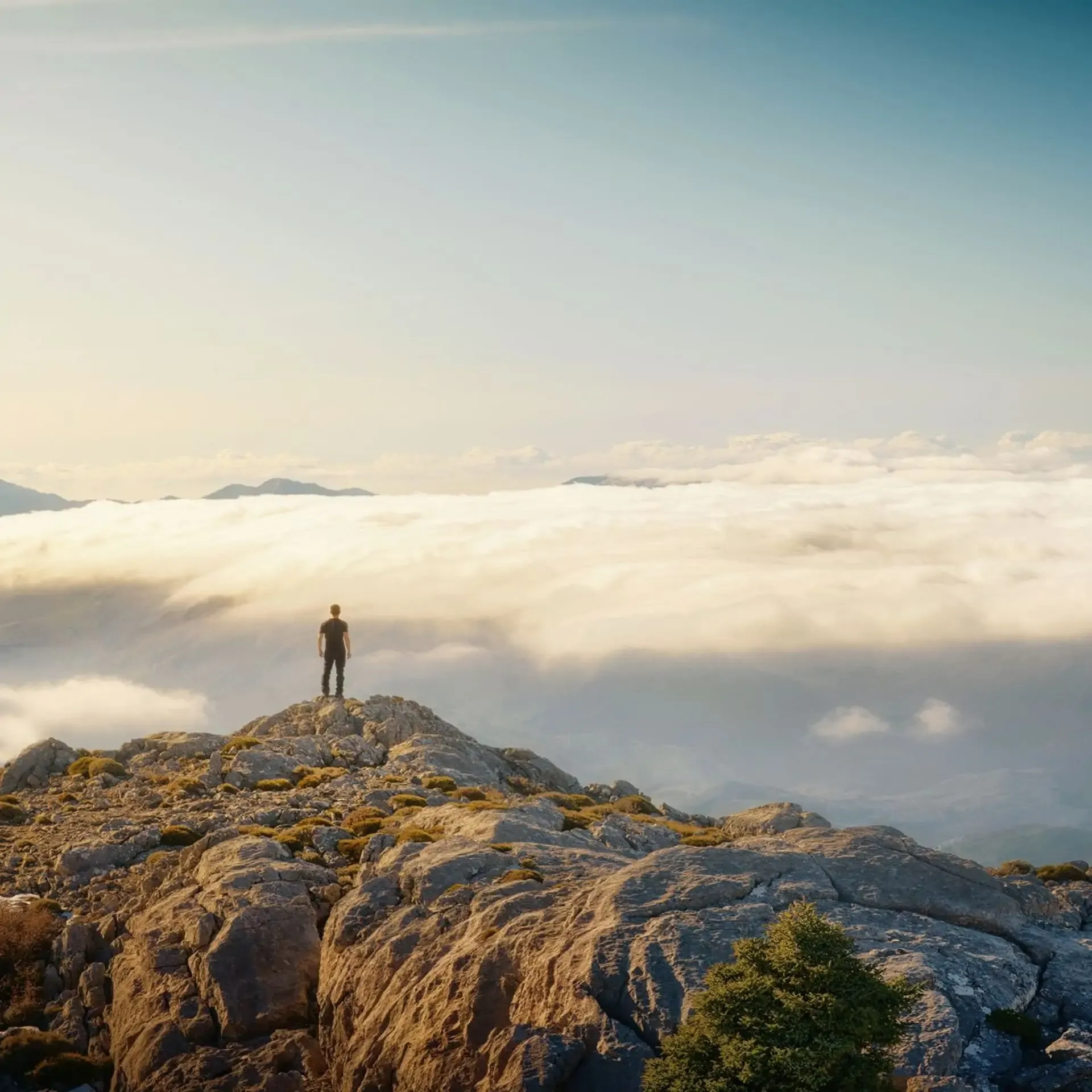 A person standing on the summit of a rocky mountain, looking out over a thick sea of clouds under soft sunlight.