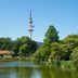 Andet