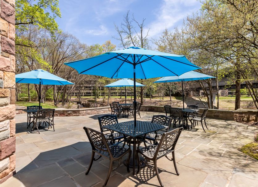 Patio Billede