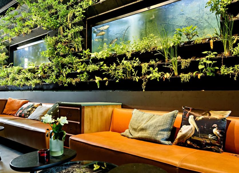 Lounge Billede