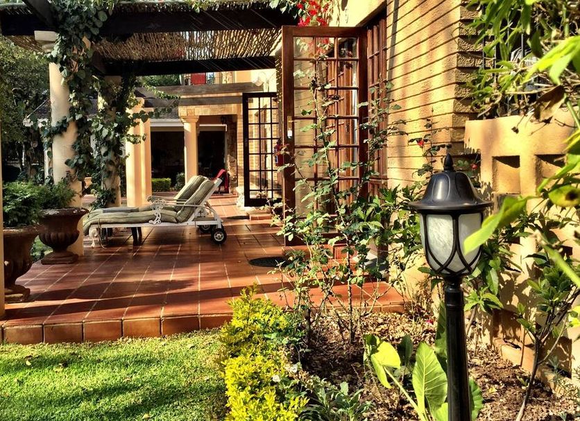 Patio Billede