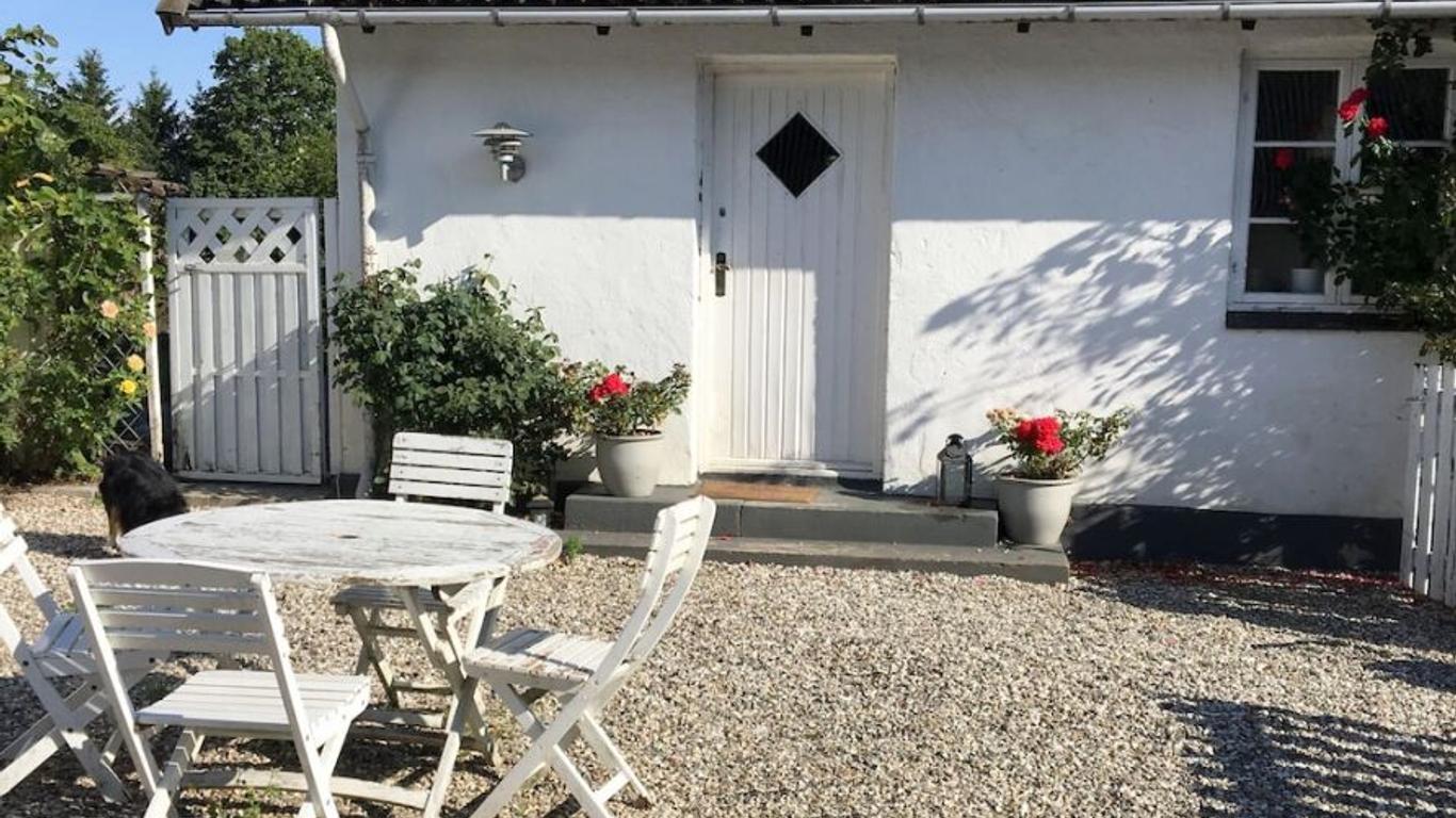 Primært billede