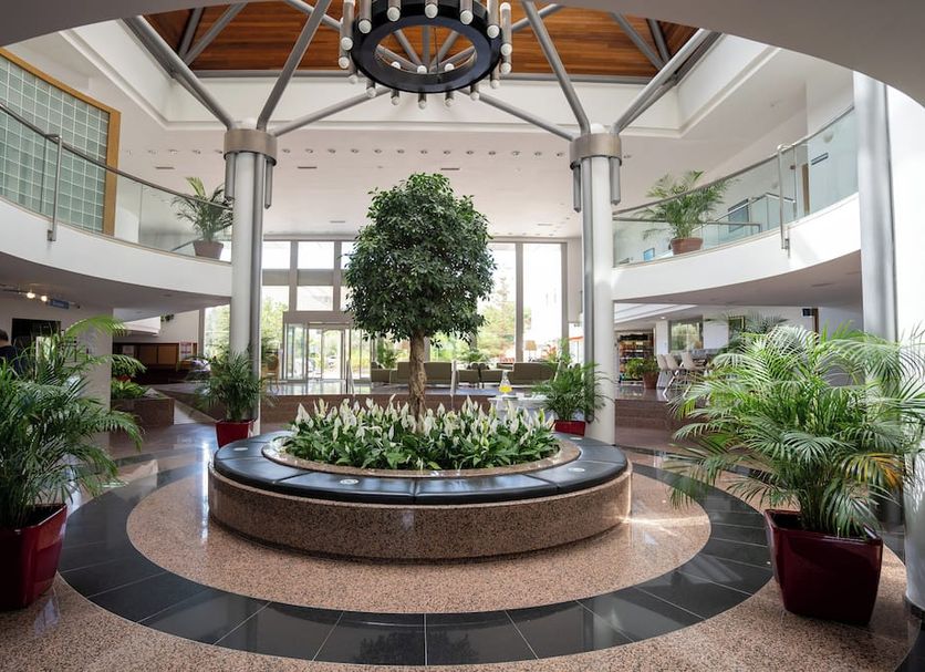 Reception Billede