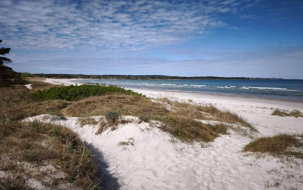 Strand Billede