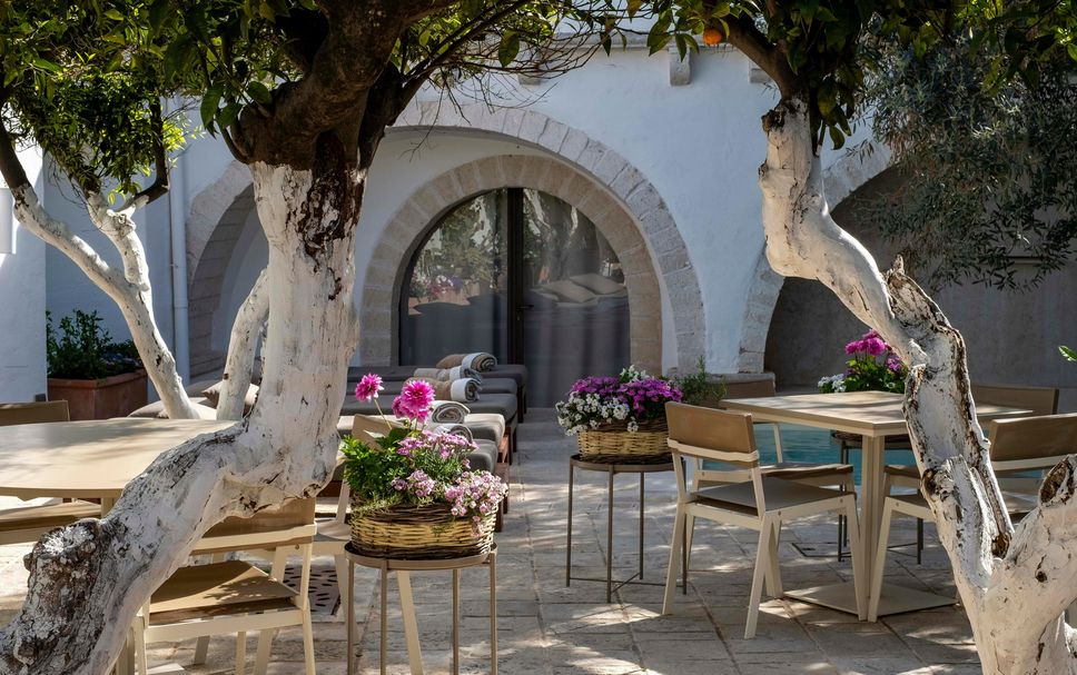Patio Billede