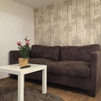 Beautiful Apartments in Prague