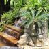 Andet