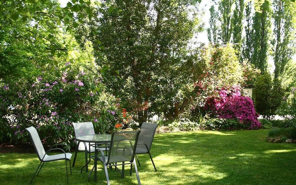 Patio Billede